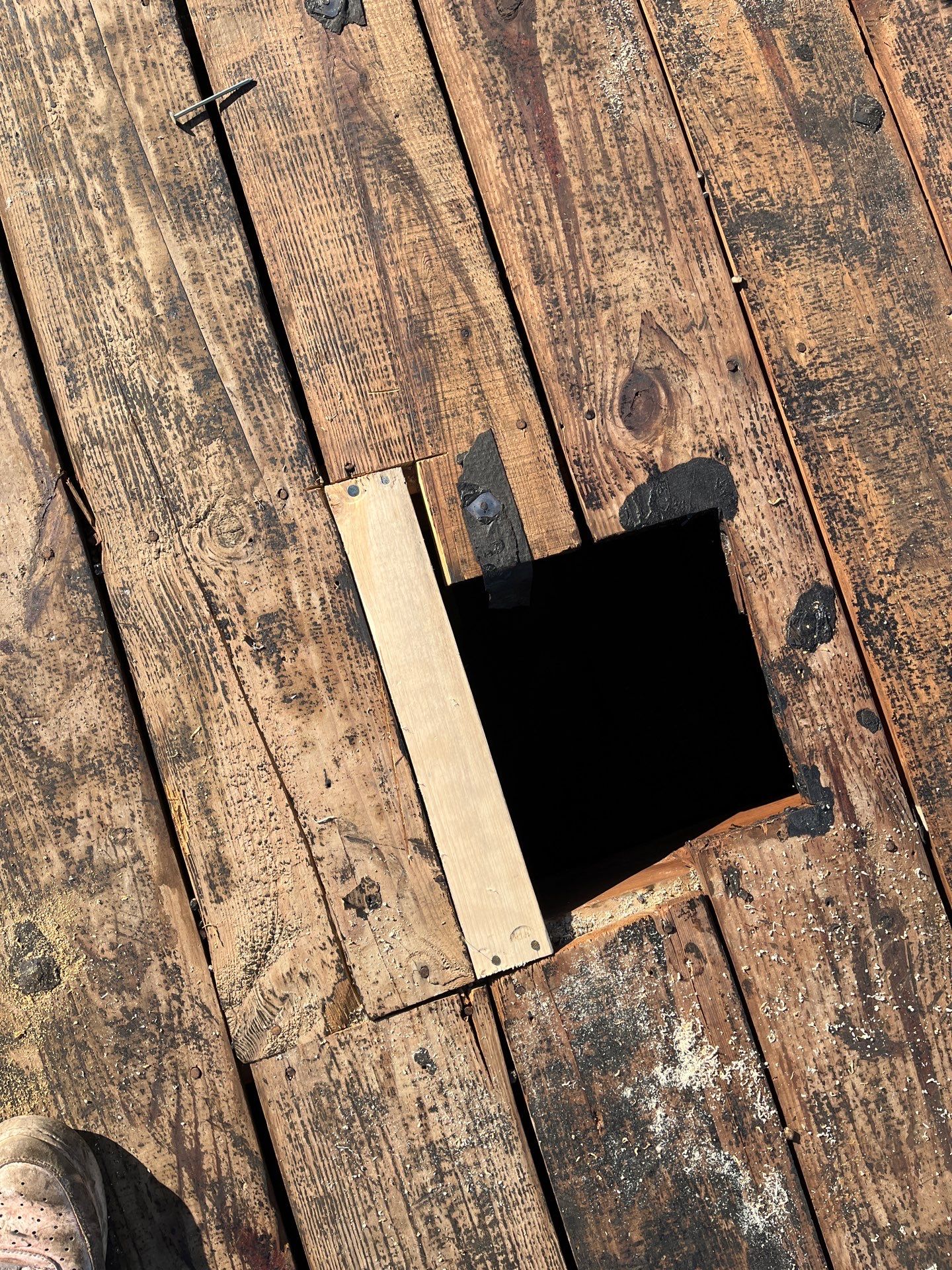 Alexandria: Residential Flat Roof Replacement with Mule Hide TPO Membrane by RM Banning, Inc.