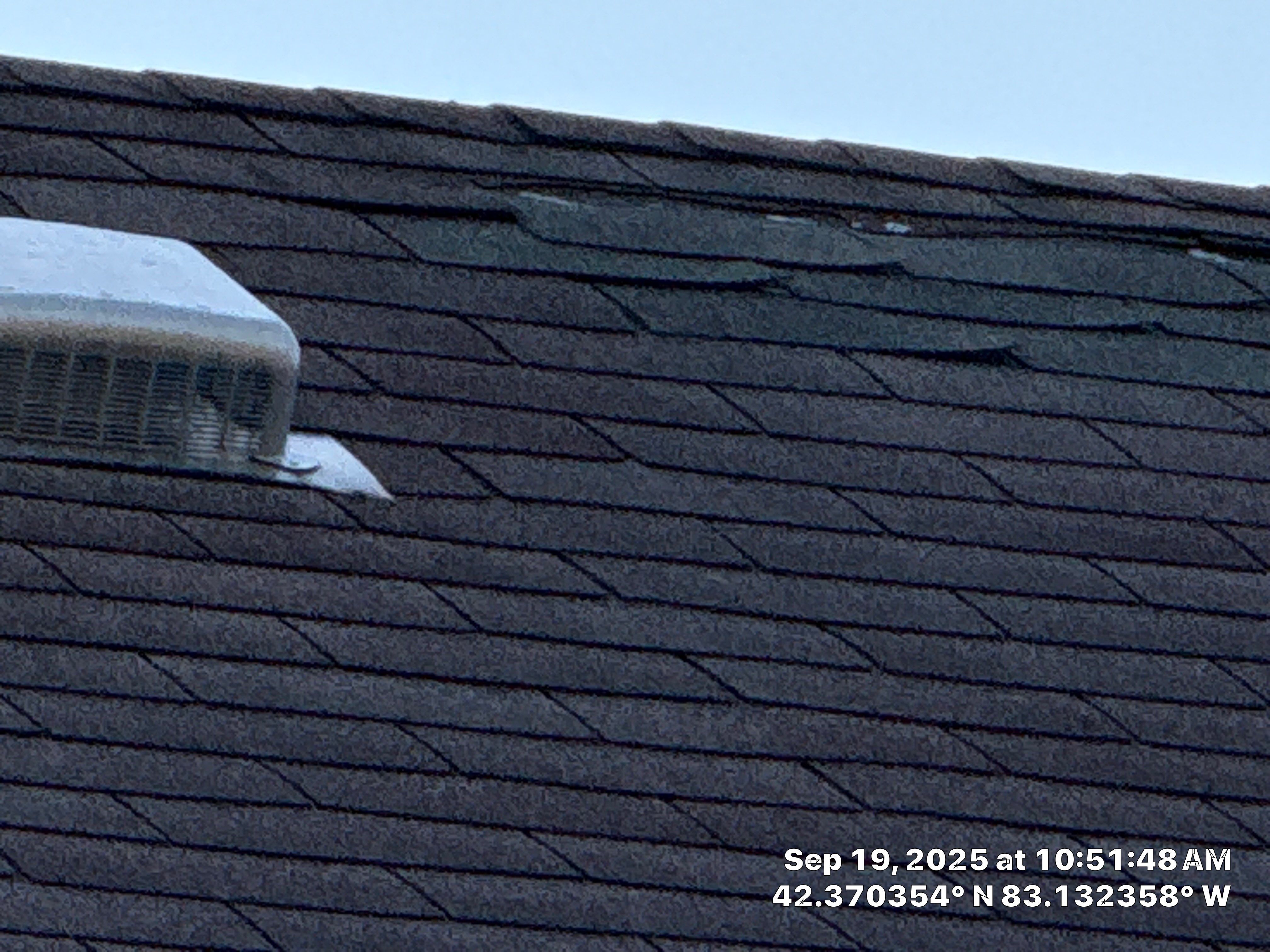 Roof Rejuvenation In Detroit  by EverNew Roofing 