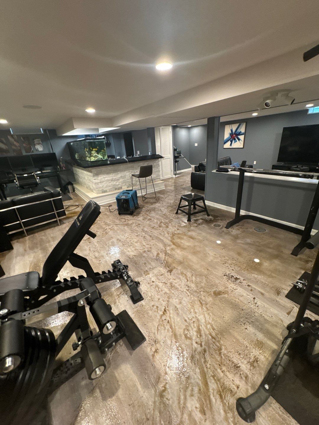 Project in Beverly Hills by EzDry Water Mitigation & Property Restoration