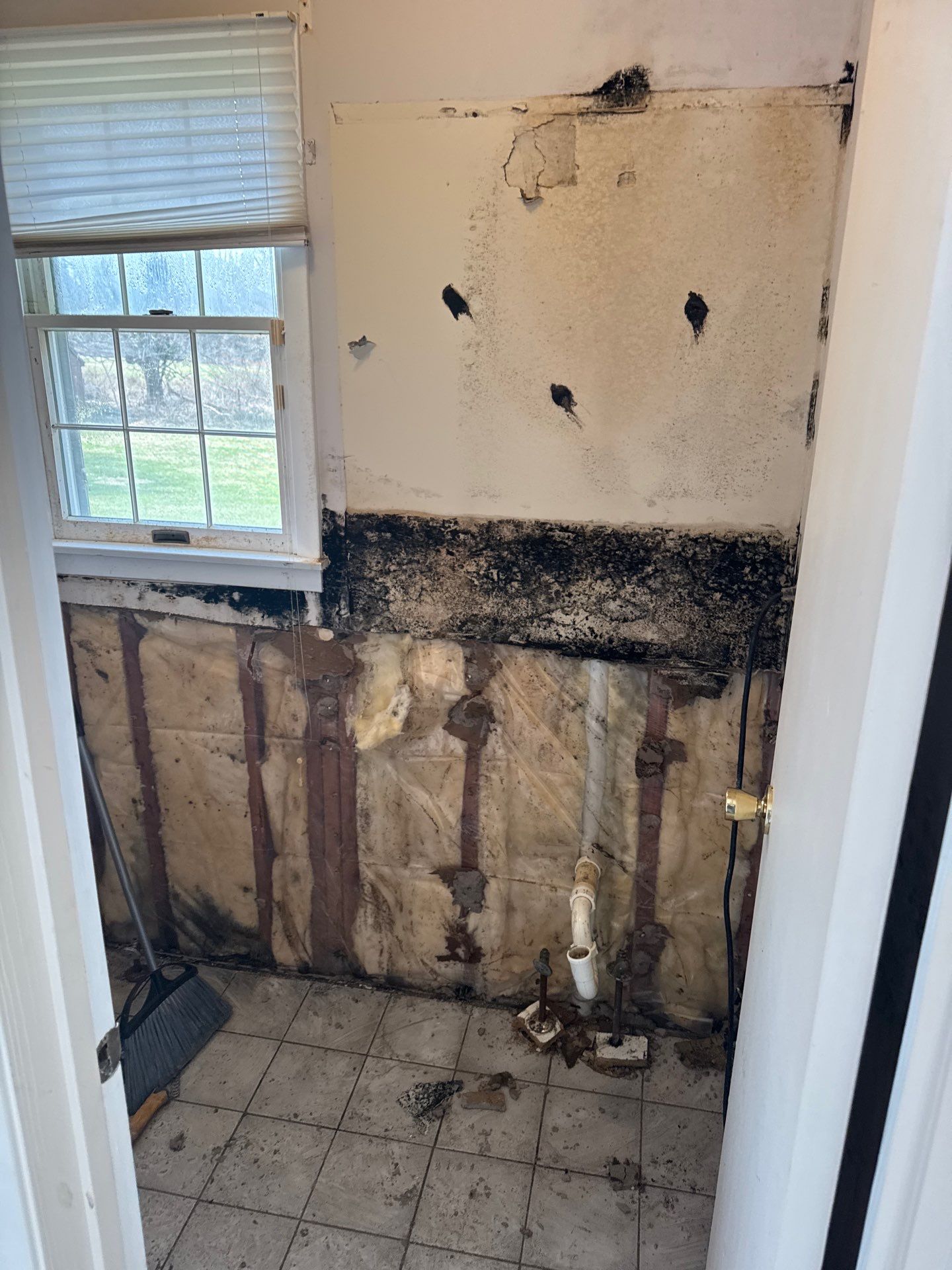 Mold Remediation and Water Damage Repair in Stonybrook, NY by Newhouse Restoration