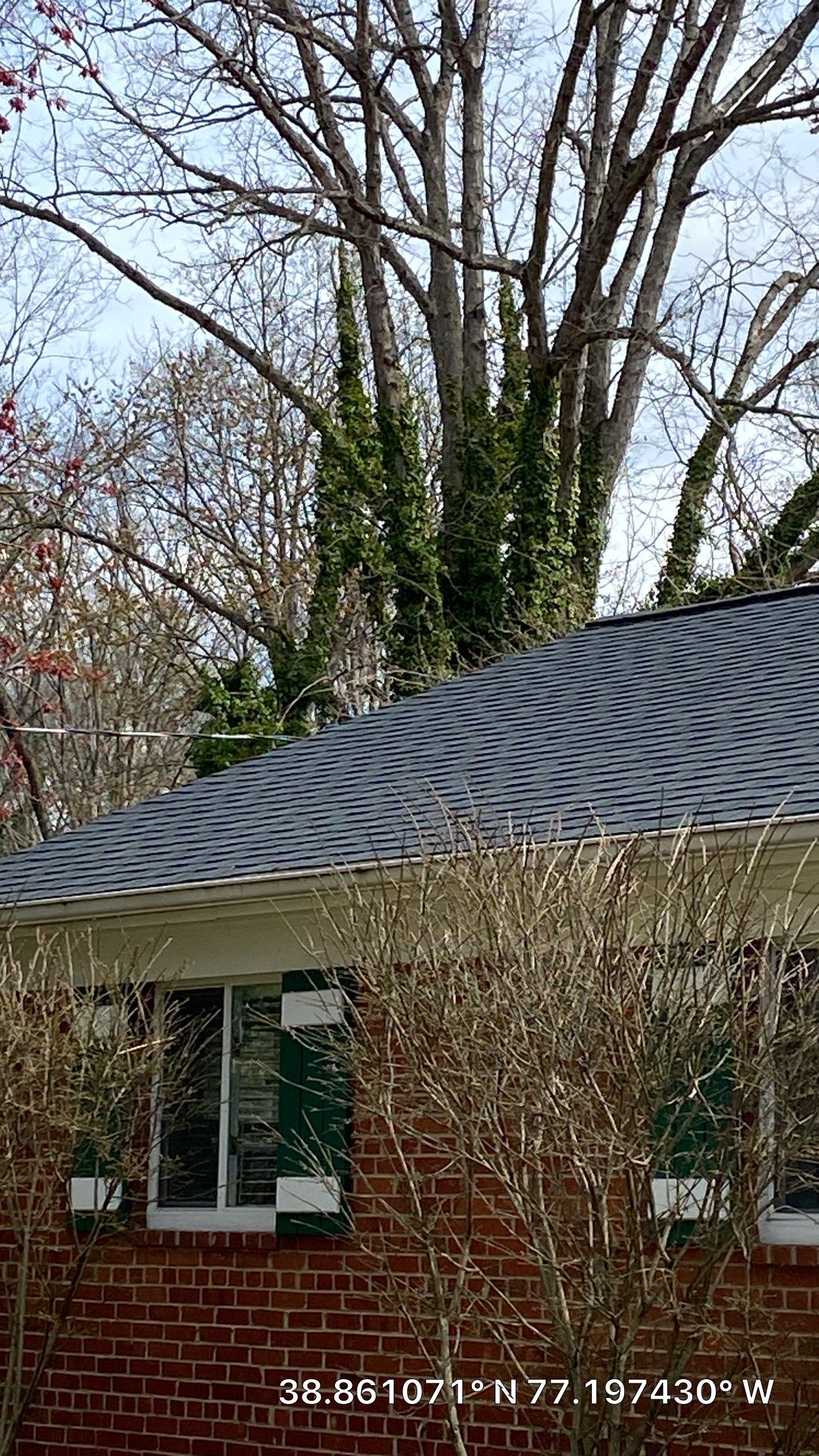 Falls Church - Certainteed Landmark Charcoal Black Roof Project by RM Banning, Inc.