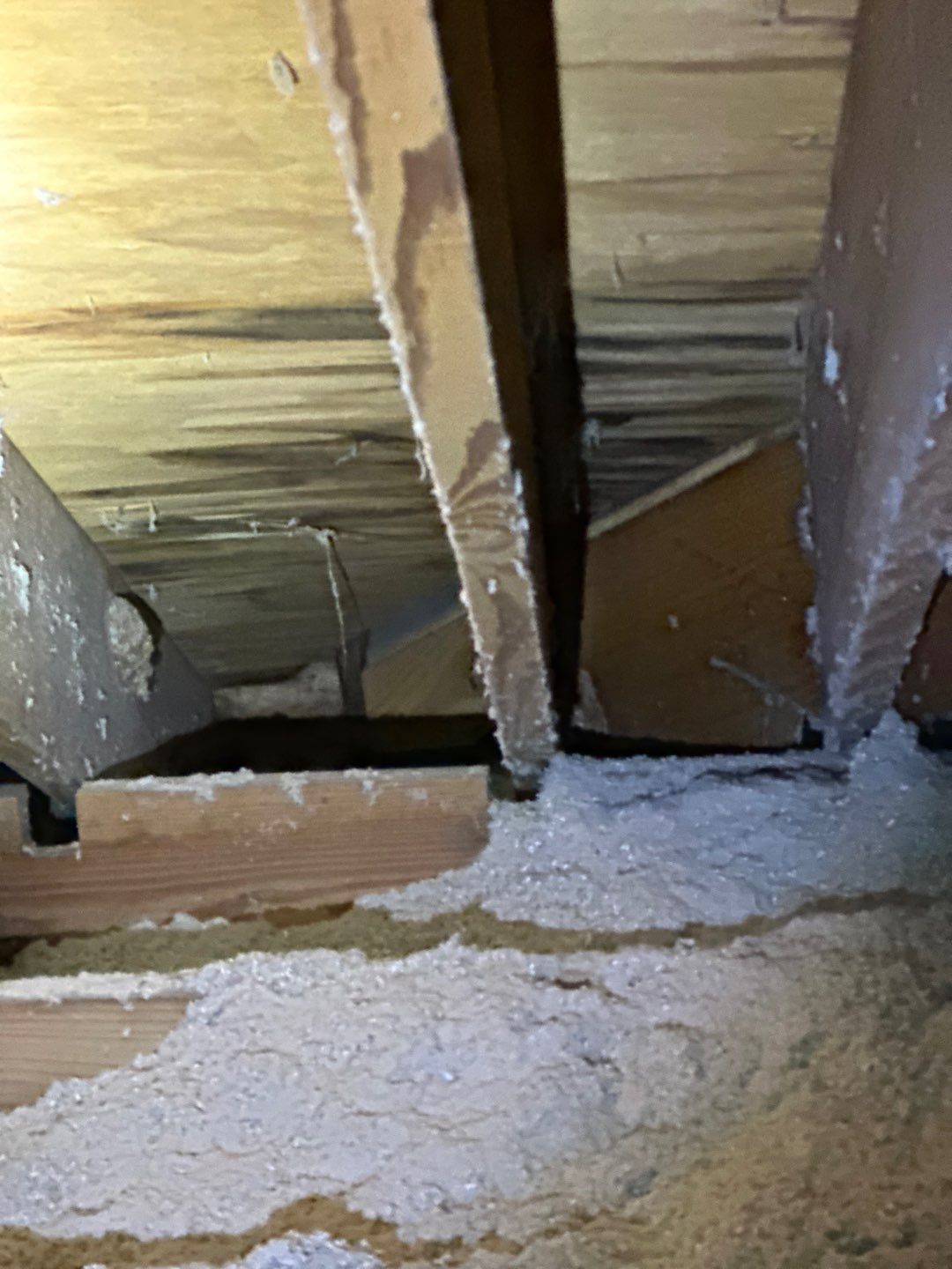Roof Repair Richmond by Roof Repair Services LLC