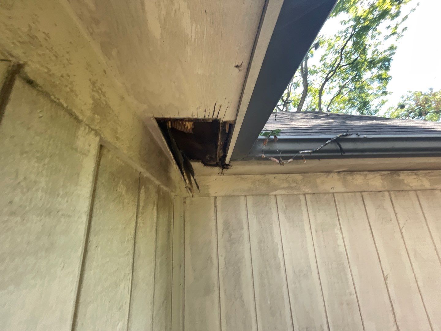 Seabreeze Roof Replacement, Exterior Siding and trim repairs and paint by 317 Roofing & Restorations