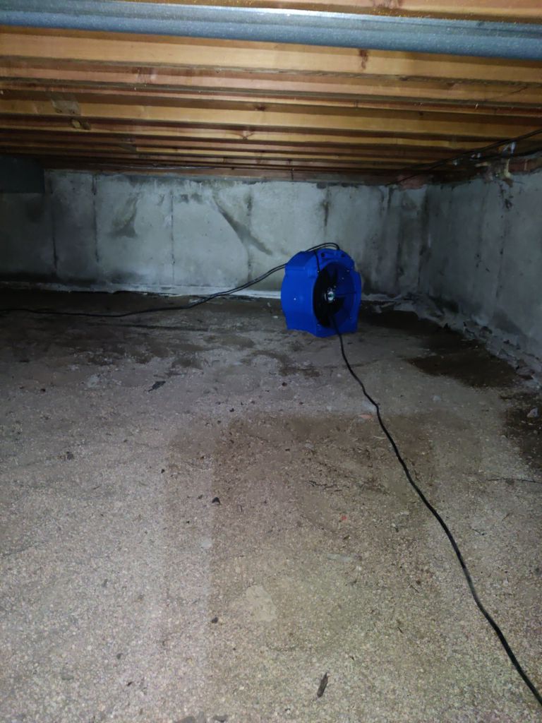 Crawl Space Cleanup  by Accountable Home Services