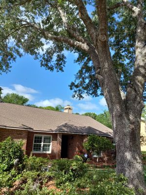 Shingle Roof Replacement 