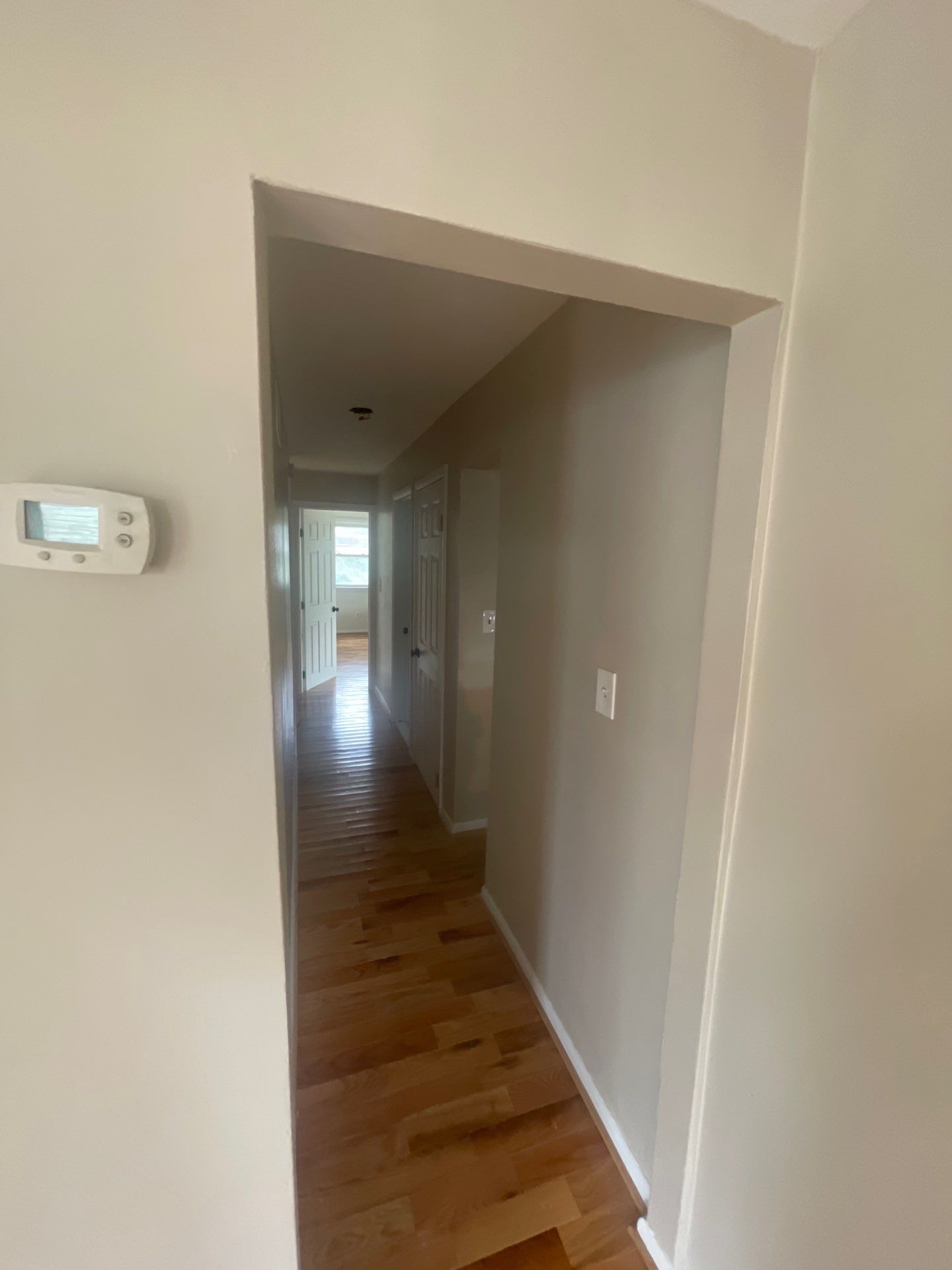 Interior Refresh in Glenside by Groovy Hues