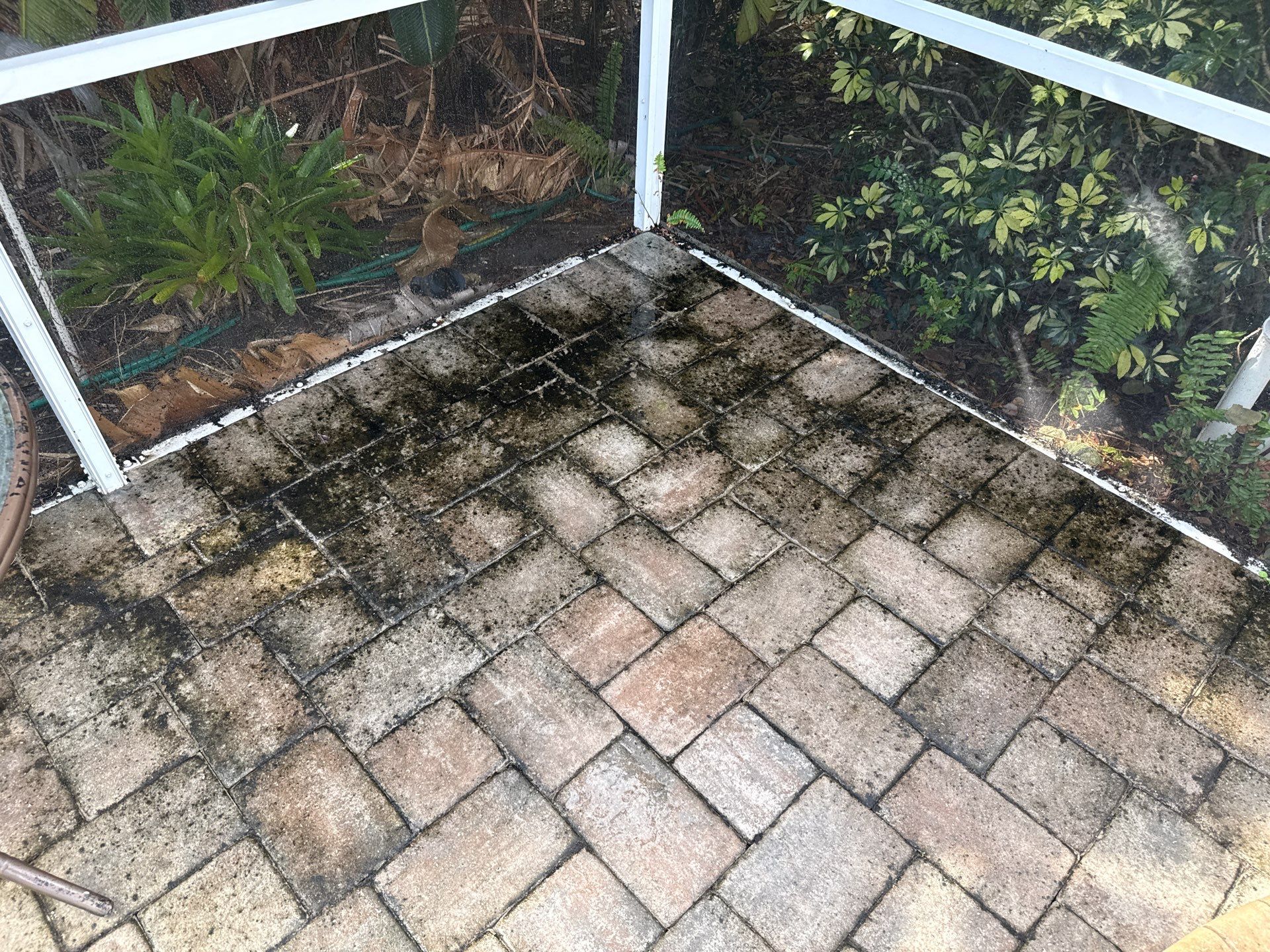 Paver Pool Deck & Screen Enclosure Transformation | University Park, Sarasota FL by Sunshine AquaWash
