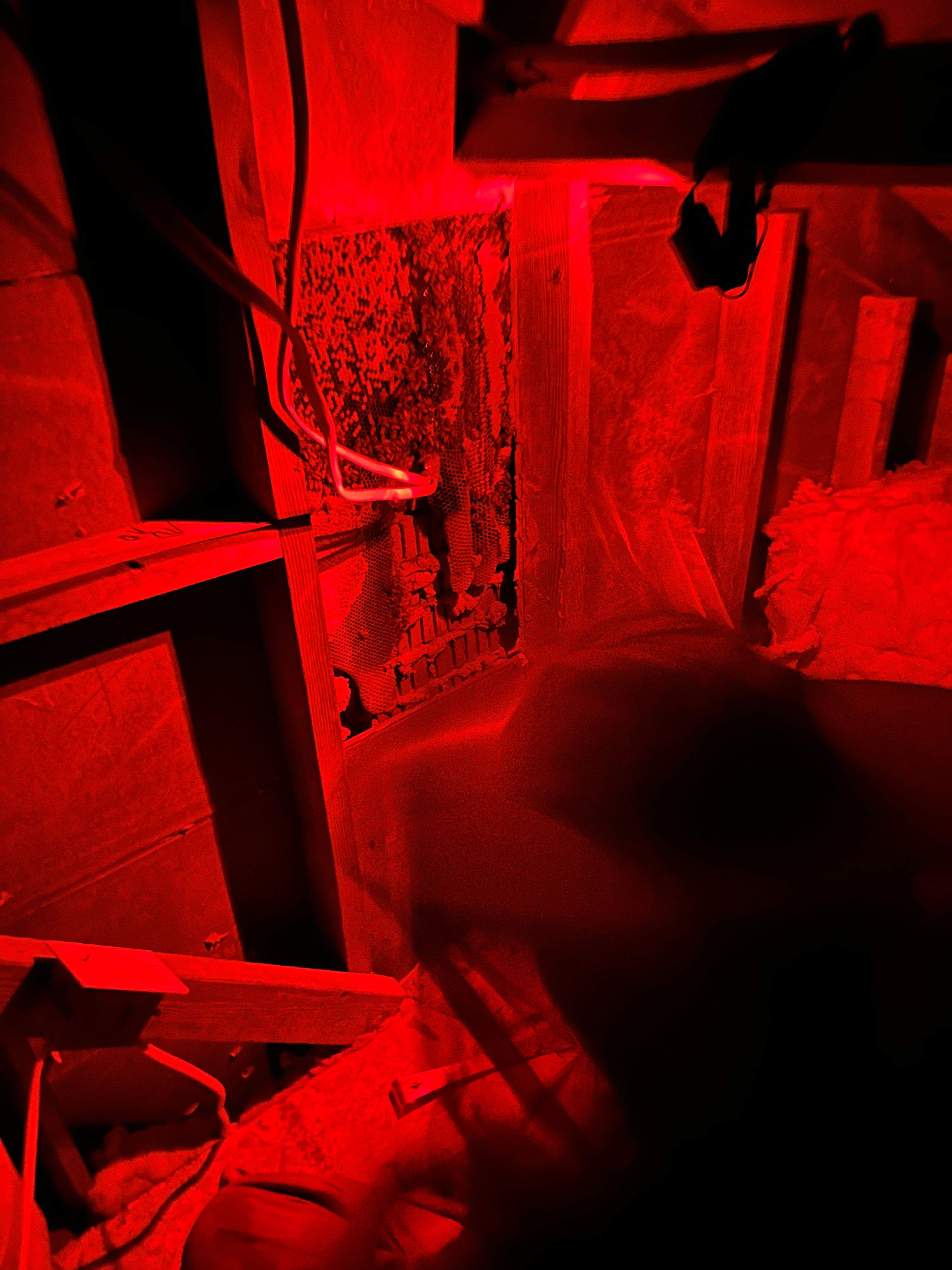 Red Light Attic by Rockwall Honey Bee Company