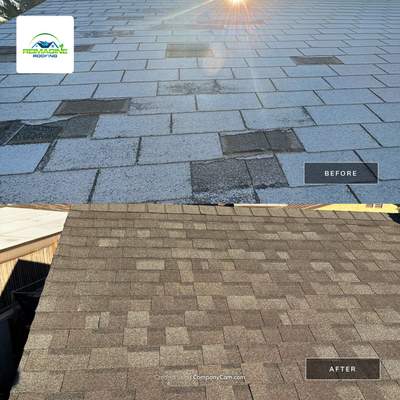 Birchwood Shingles