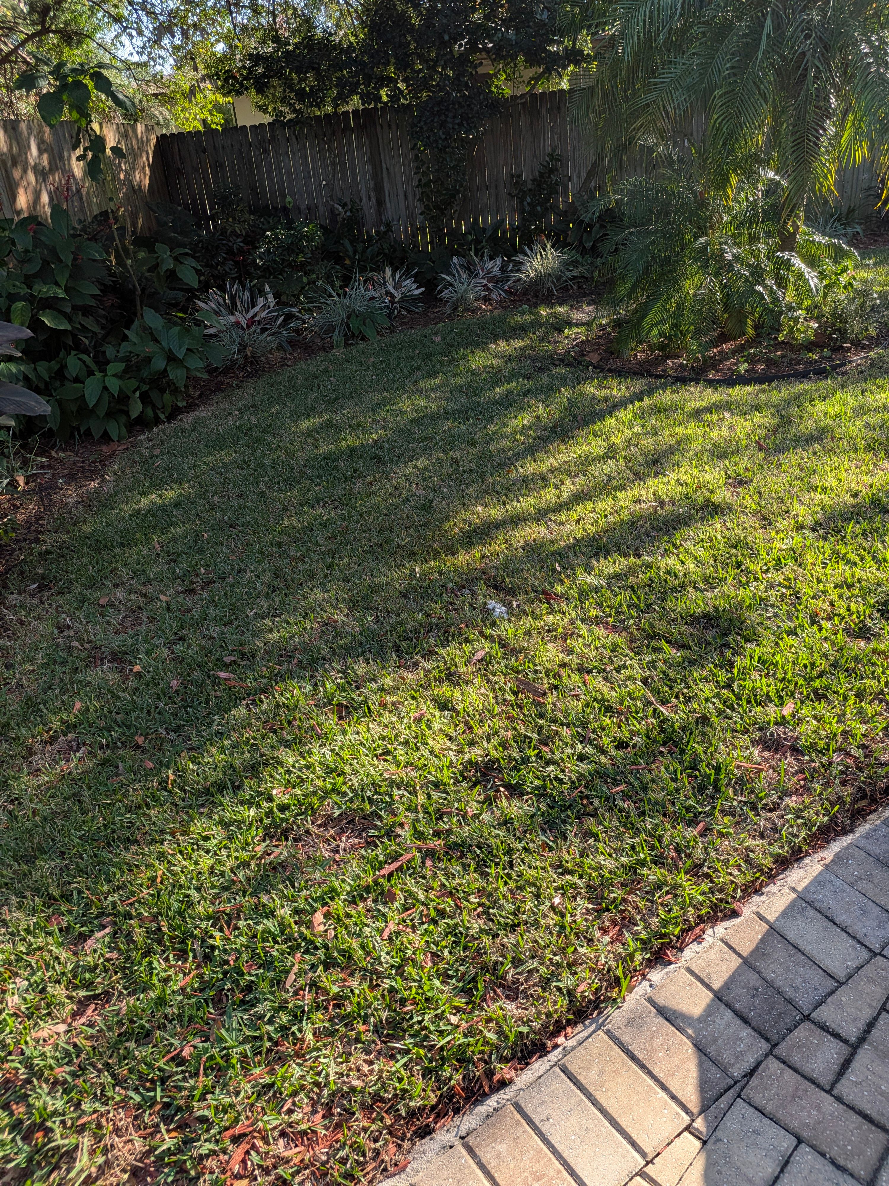 Large-Scale Leaf Removal & Property Cleanup — Jacksonville, FL (Arlington Area) by Harmoni Home Services