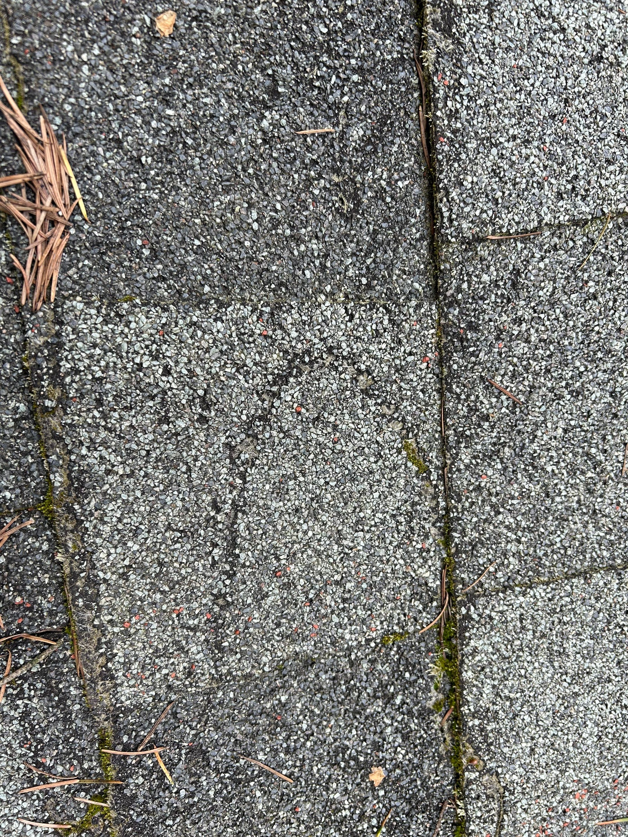 Project in Redmond by Peaks and Valleys Construction