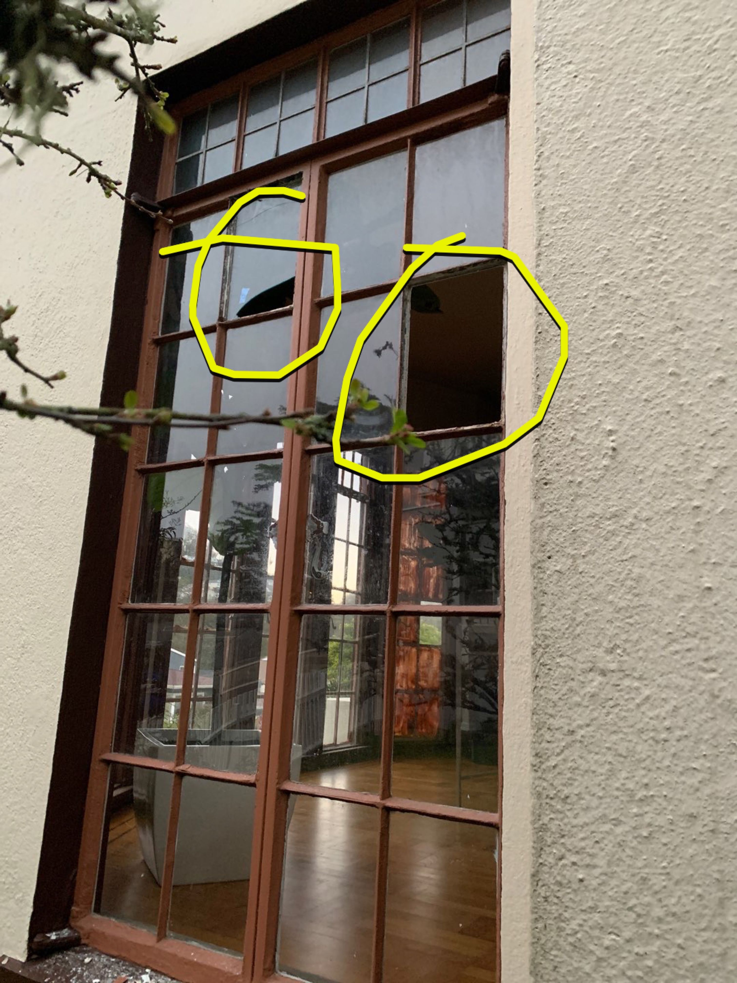 Priscilla Rodrigues by SpotFree Window Cleaning