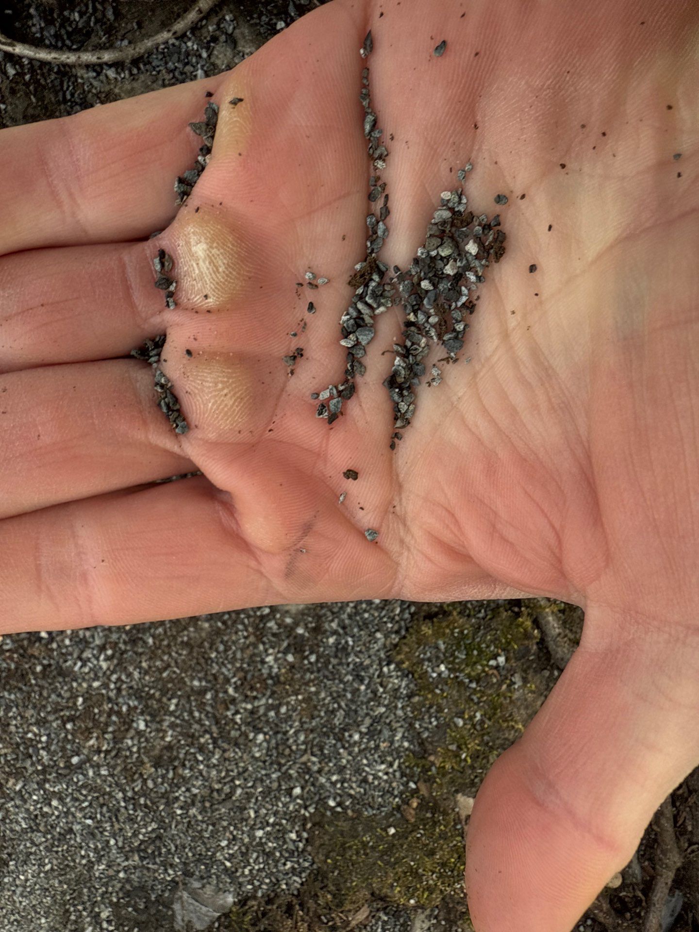 Project in Richmond by Roof Maxx of Midlothian