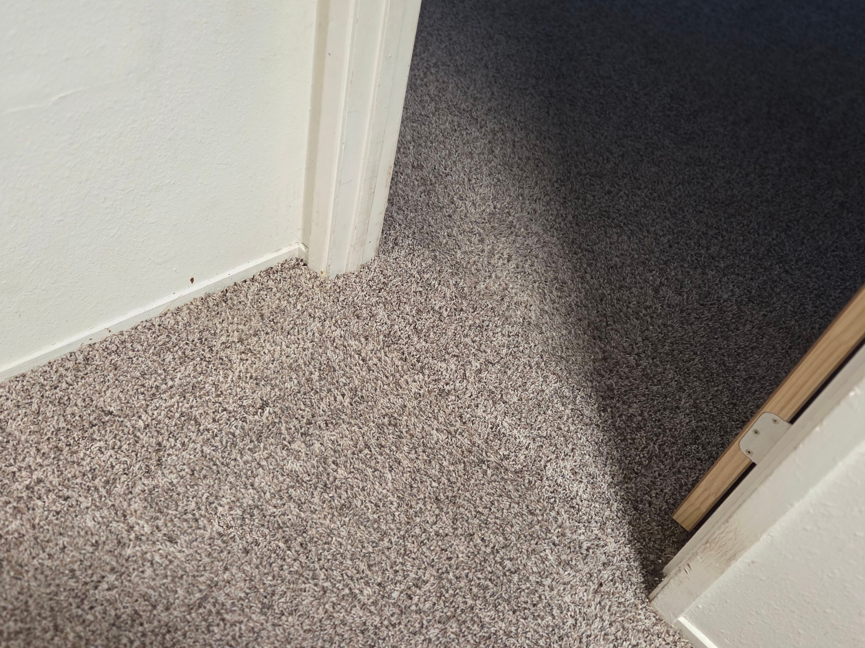 Move-Out Carpet Repairs & Carpet Cleaning by Ardent Carpet Restore LLC