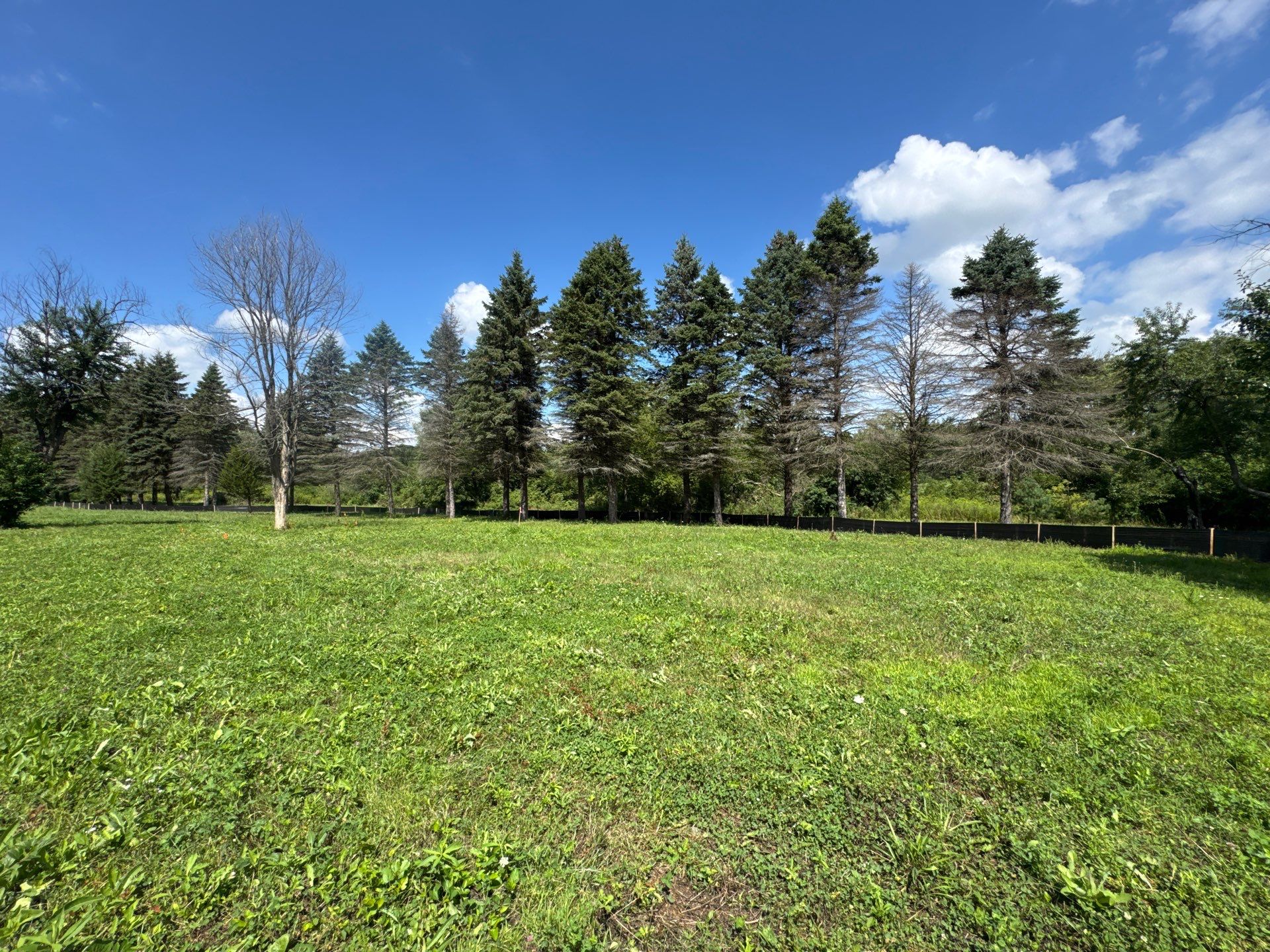 Long Grove by Affordable Housing Corporation of Lake County