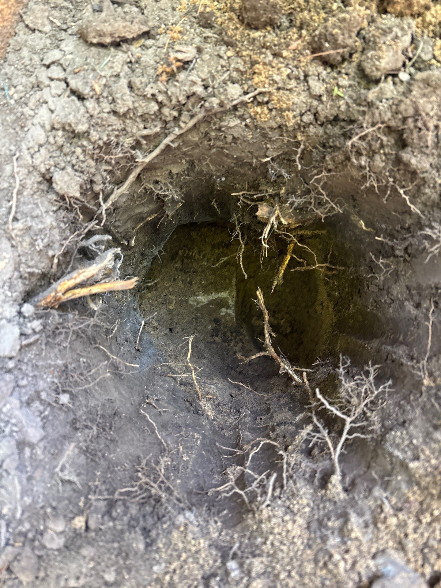 Cedar Fencing For A Madison HOA by Madison Fence Company