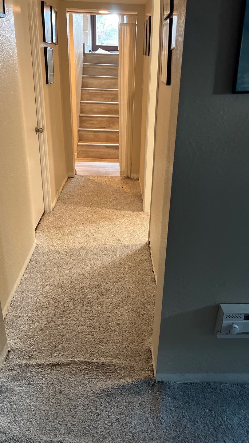 Water Damage and Mold Remediation by Accountable Home Services