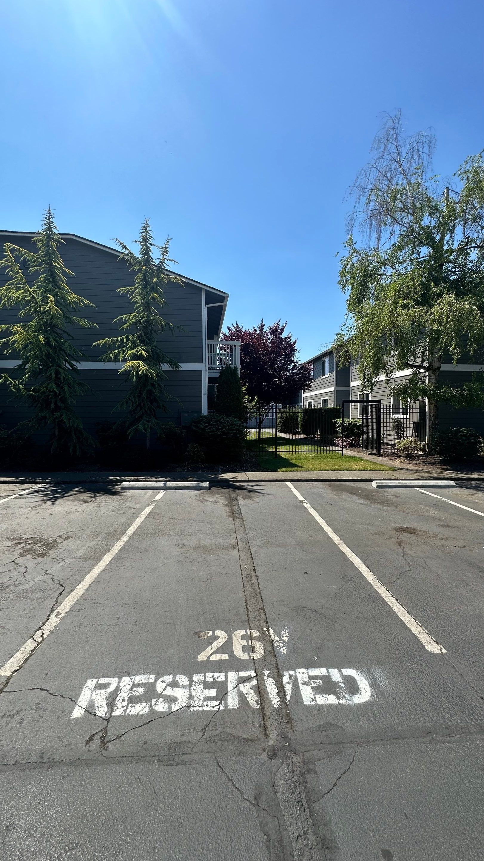 Chaz | Driveway Repave, Asphalt Project  by Jireh Asphalt & Concrete Inc 