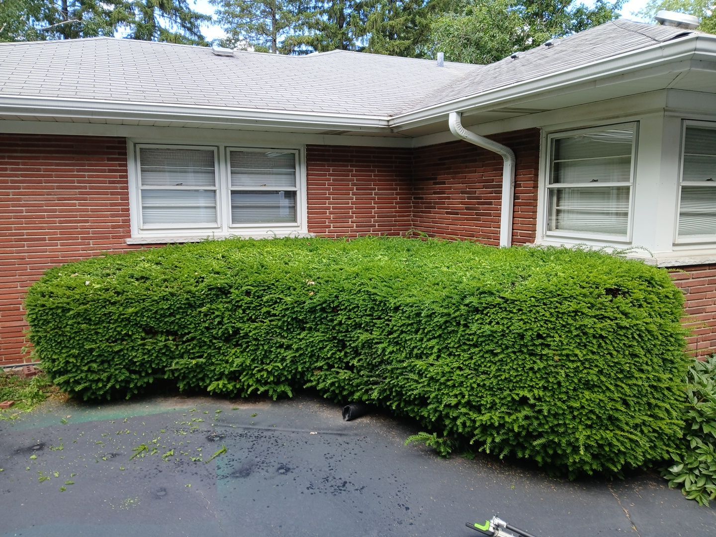 Al K. - Arlington Heights, IL by A&N