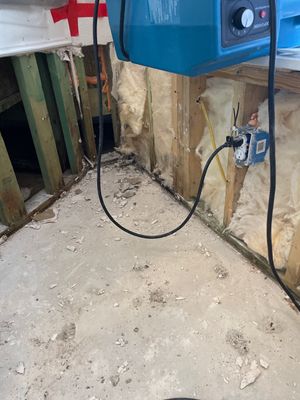 Exposed wall framing with insulation, debris on the floor, electrical outlet, and blue remediation equipment nearby.