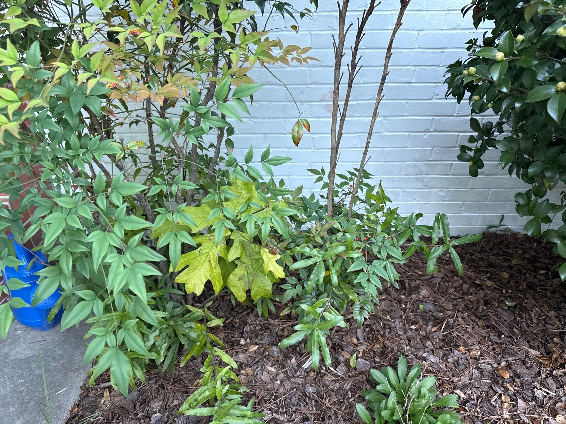 Project in Portsmouth by Patriot Crawl Space Repairs