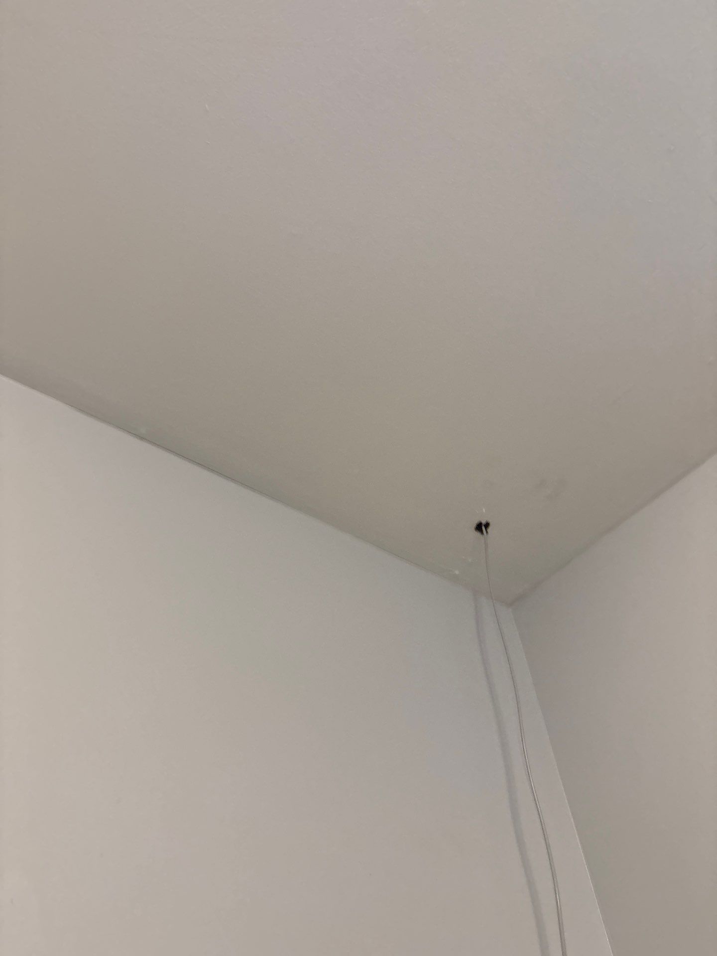 Residential Ceiling Lighting and Electrical Upgrades in Denver by CompanyCam Sales Demo