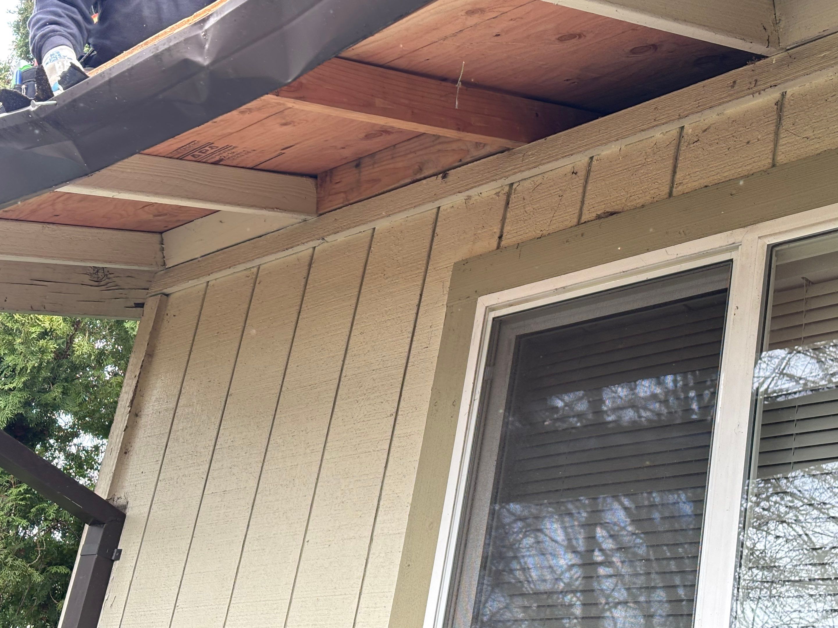 Emergency Leak Repair in Hillsboro by Prodigy Roof Solutions