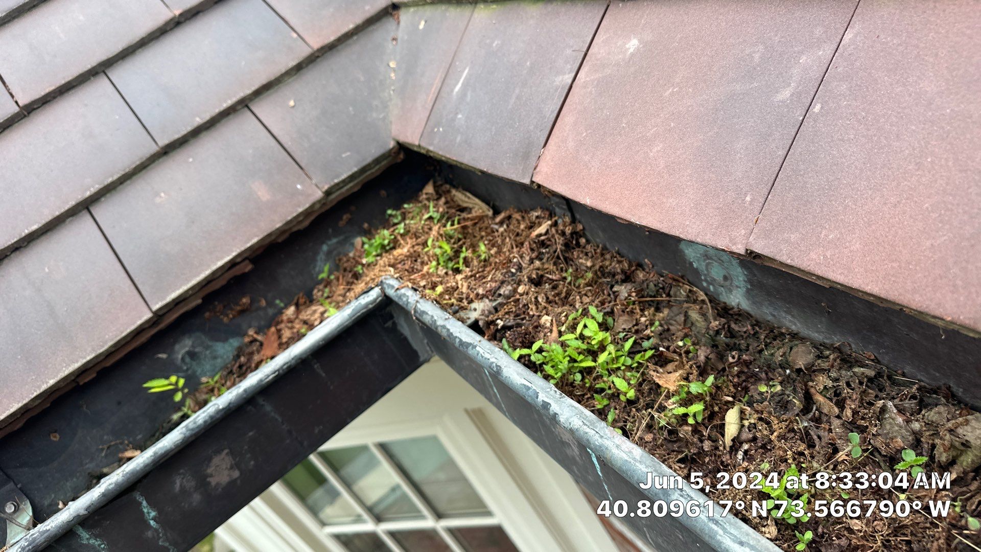 Gutter Cleaning Brookville by Above All Gutters 