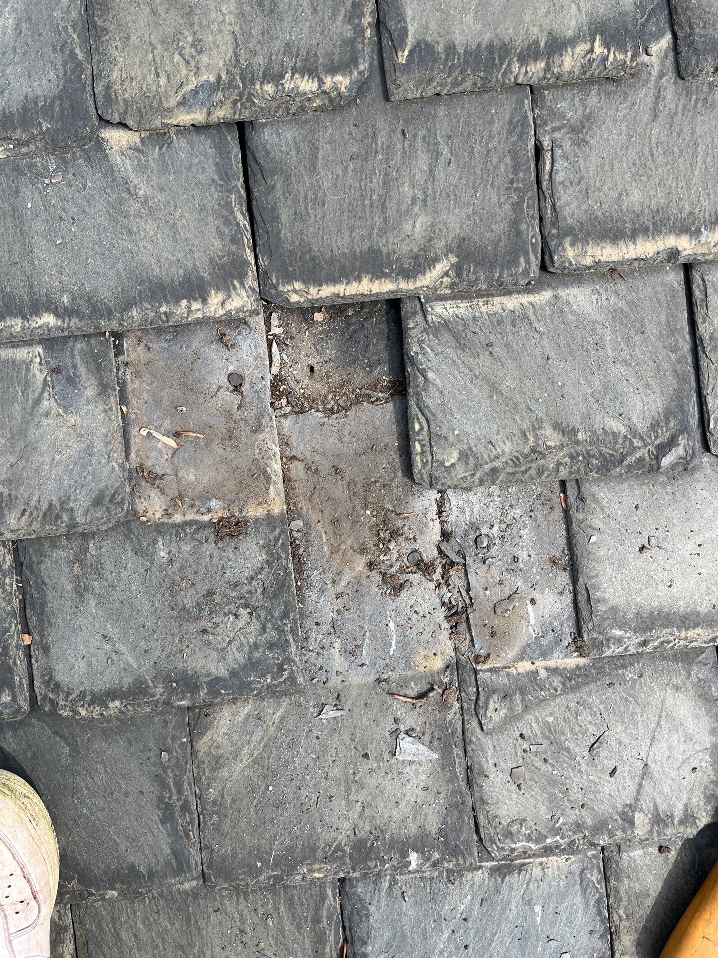 Arlington: Buckingham Slate and Carlisle Syntec TPO Roof by RM Banning, Inc.