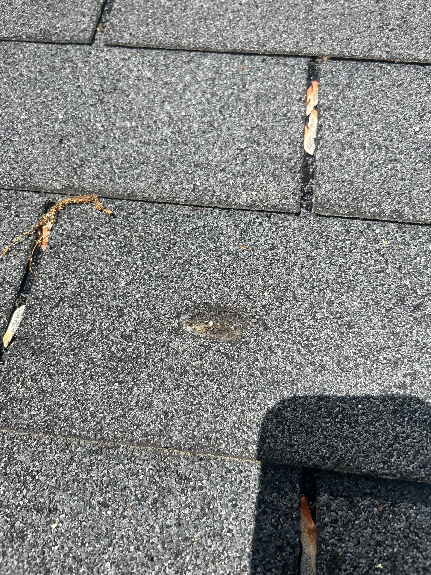 Reston Roof Replacement with CertainTeed Landmark PRO in Max Def Moire Black by RM Banning, Inc.