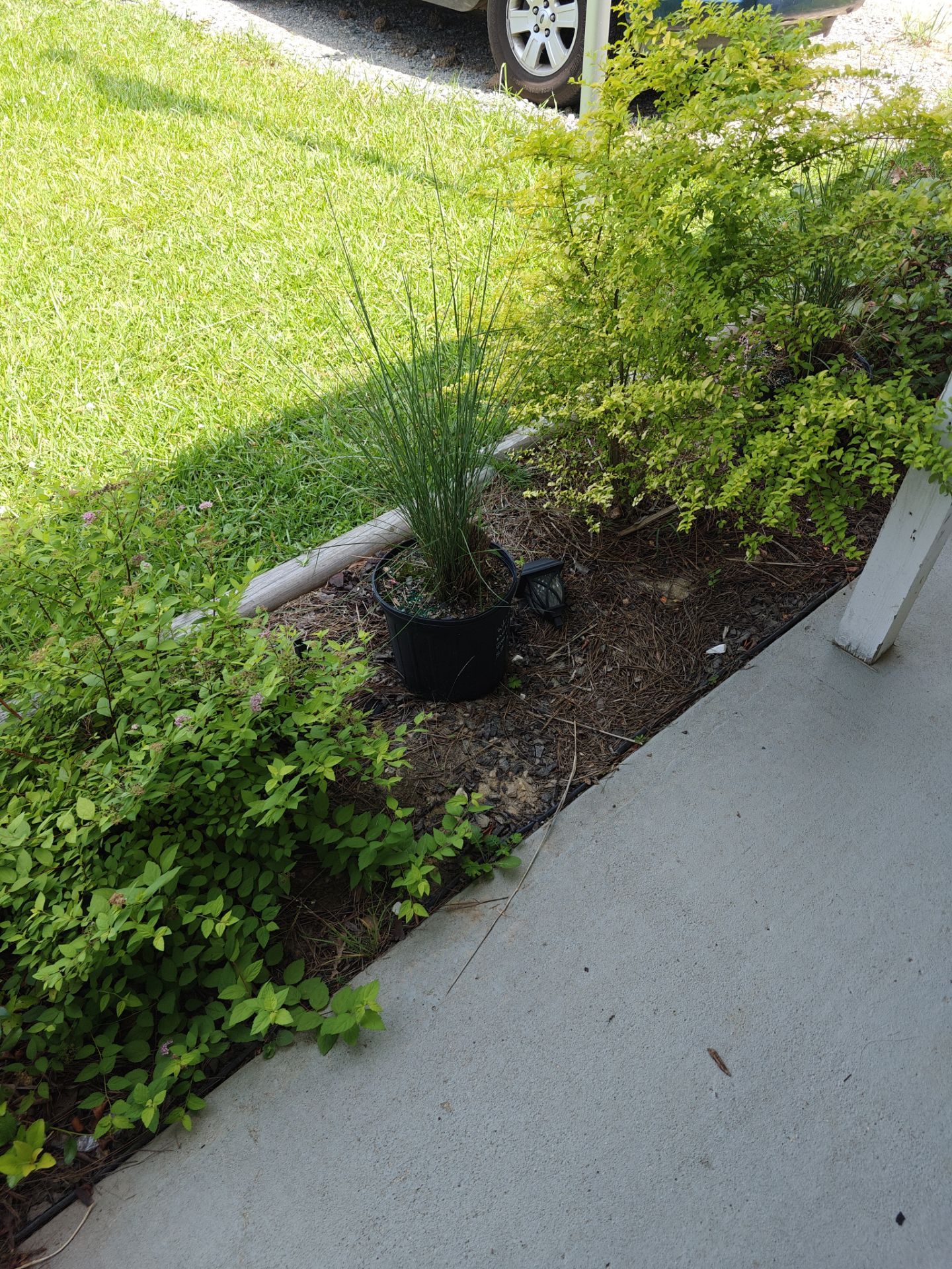 Weekly Landscaping  by College Bros Outdoor services