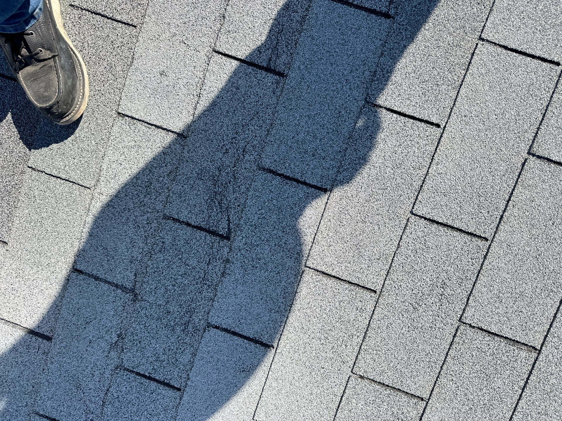 Pewter Gray Shingles by Reimagine Roofing