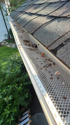 Turtle Shell gutter protection installation in St. Charles, IL 60174, photograph 11