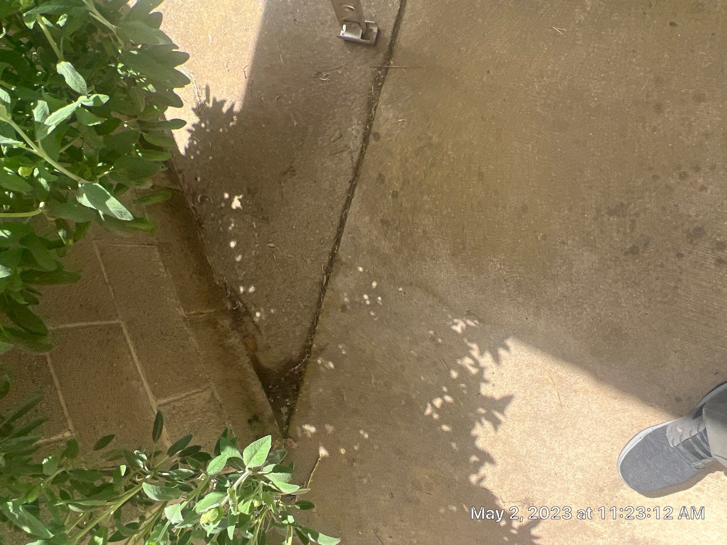 Metal roofing installation using ASC Standing Seam metal by Straight Edge Roofing Inc