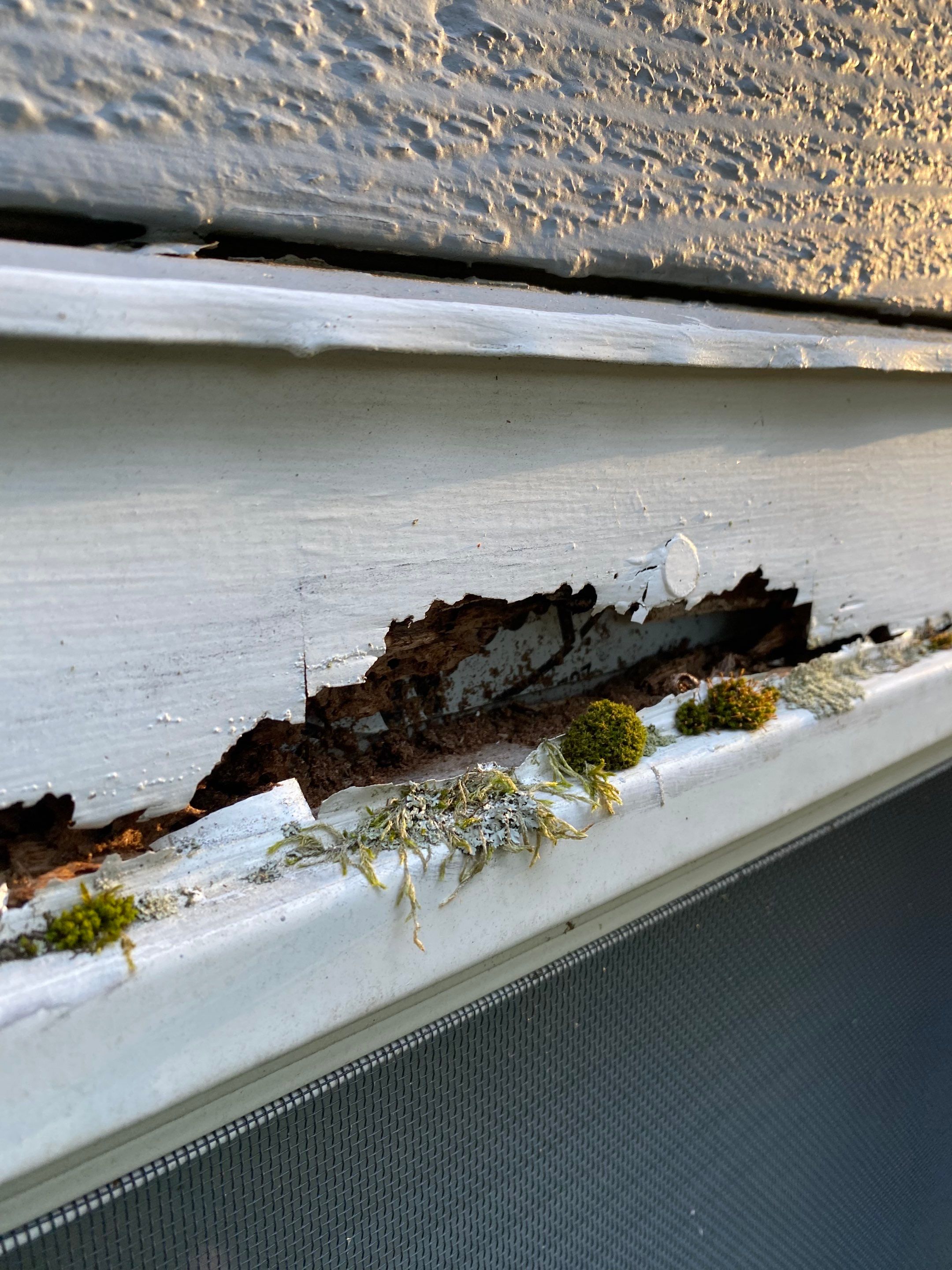 Clapboard, Trim & Gutter Replacement – Groton, MA by Mighty Dog Roofing of Greater Middlesex County