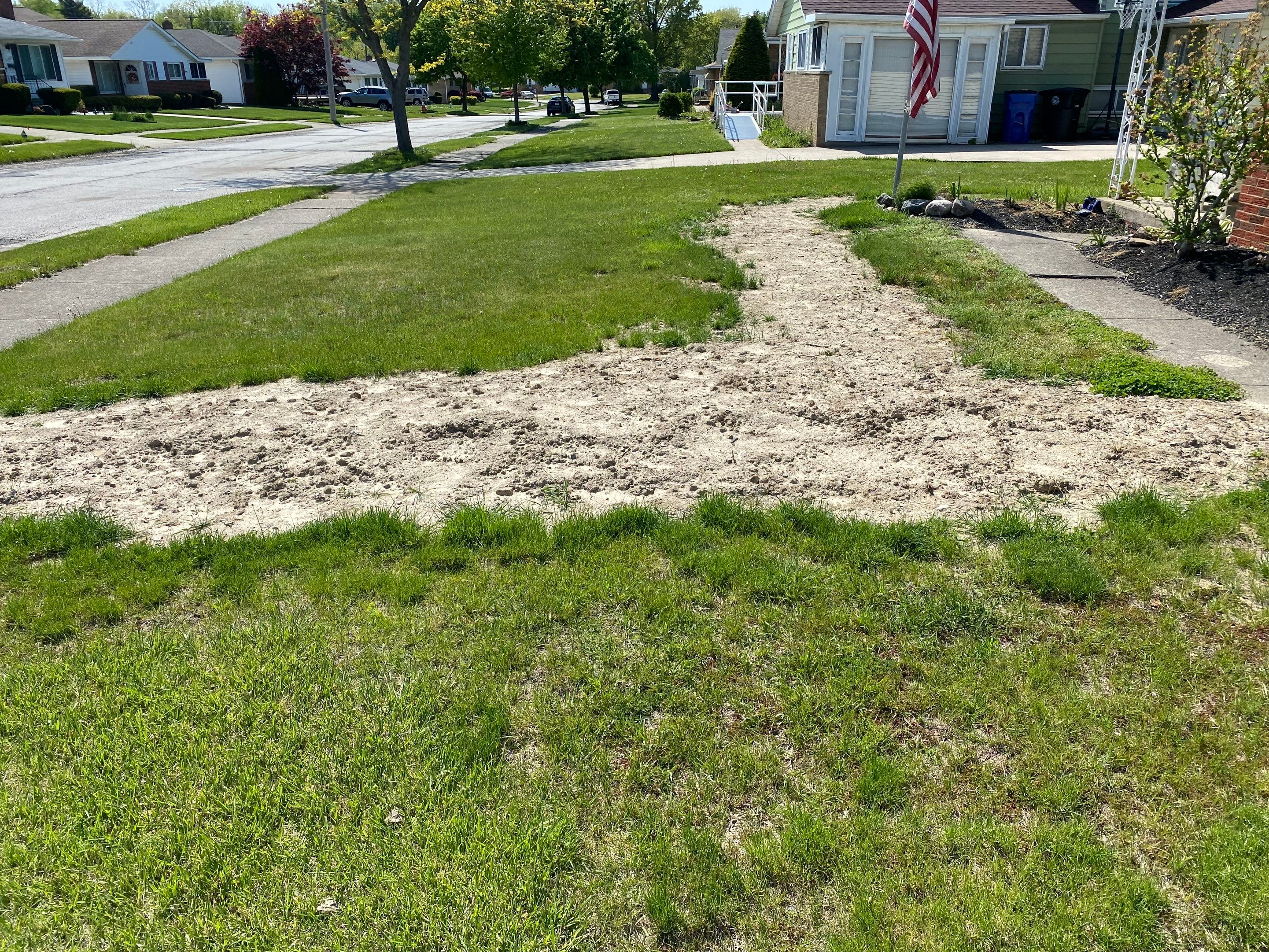 American Lawn Repair by Elm Rose Gardens