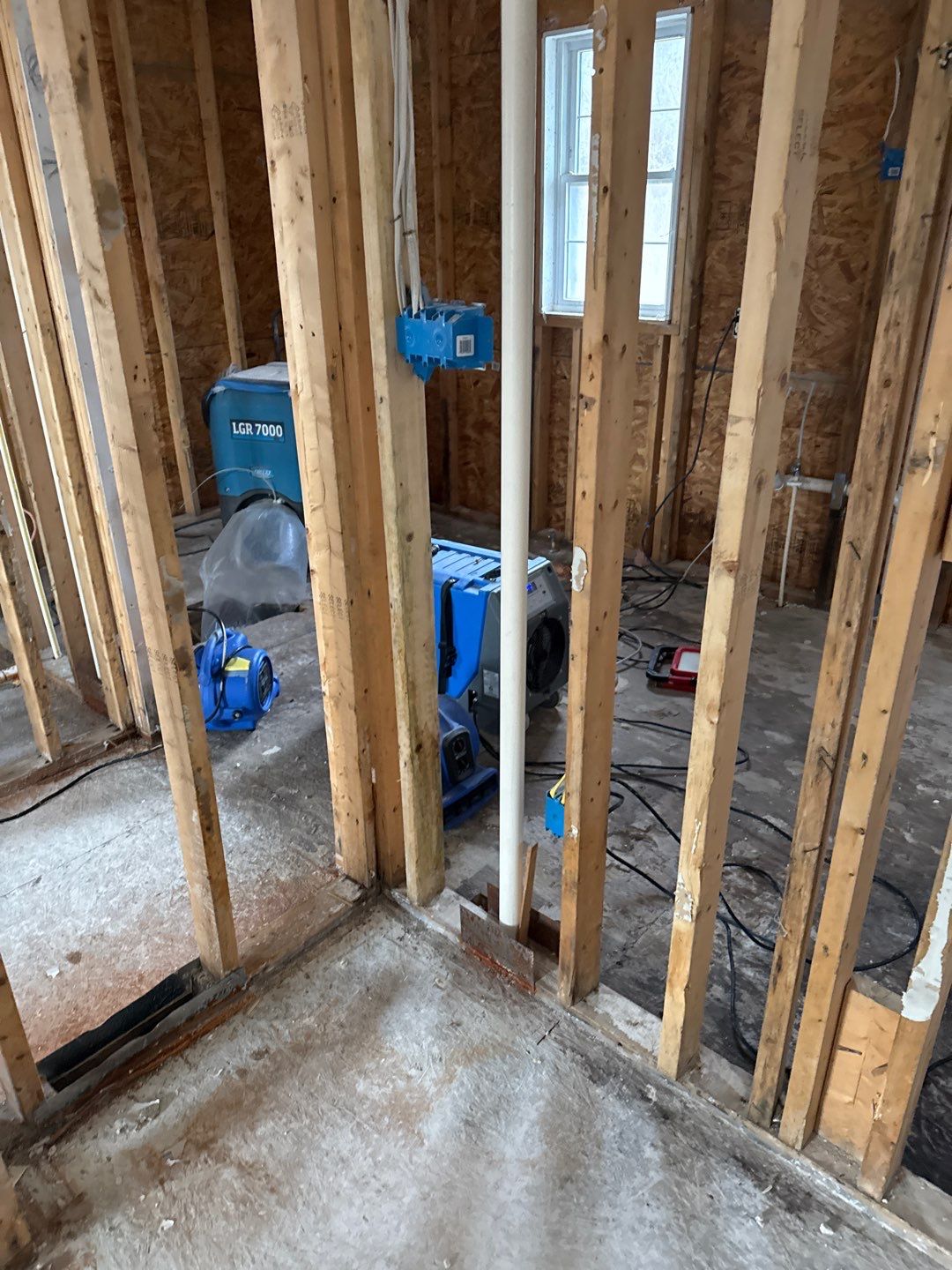 Water Damage& Mold Remediation Project-Dover, DE. by Healthy Home Solutions