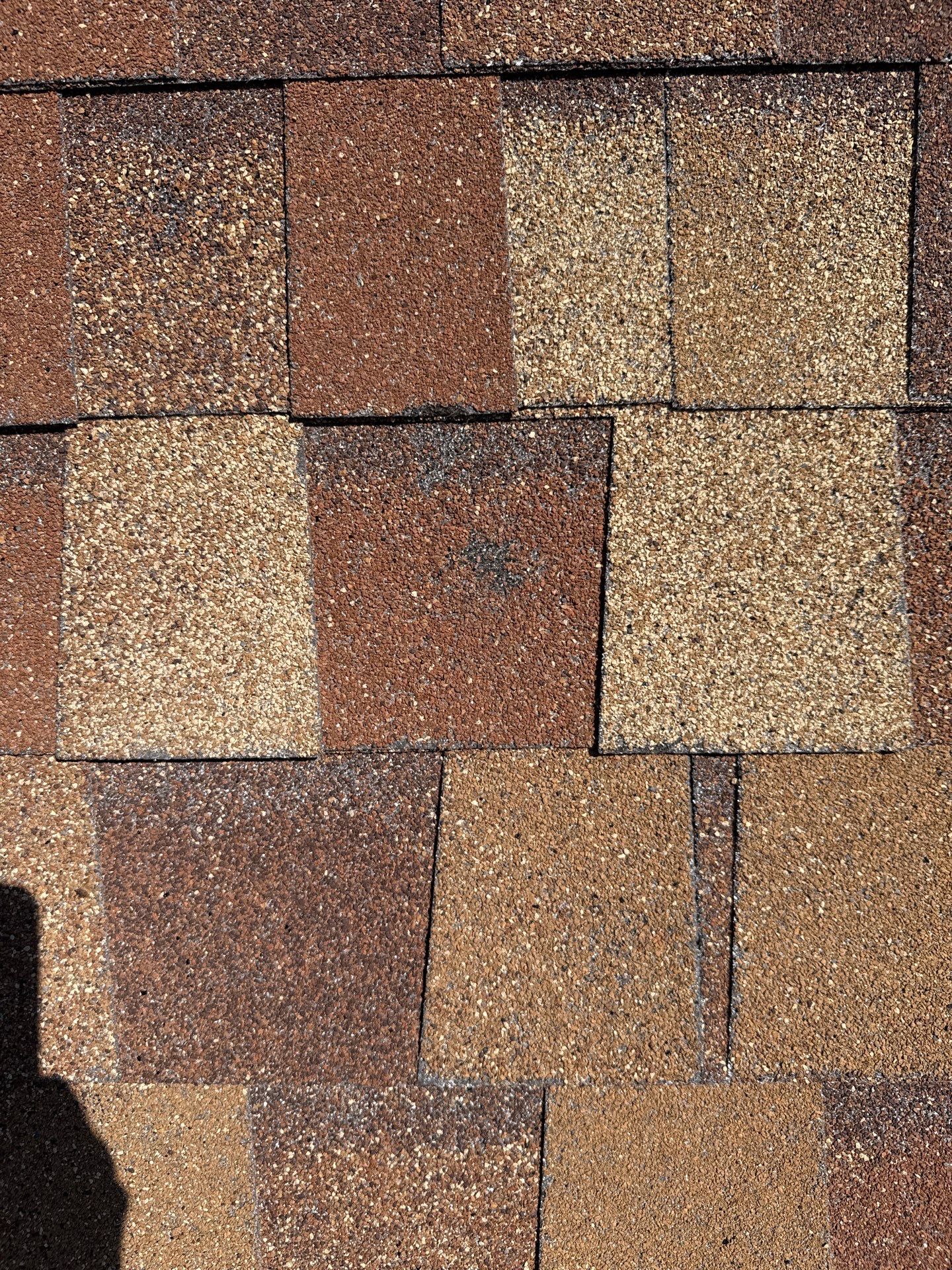 Michael Reed Roof & Siding Renovation by Colorado Exteriors LLC