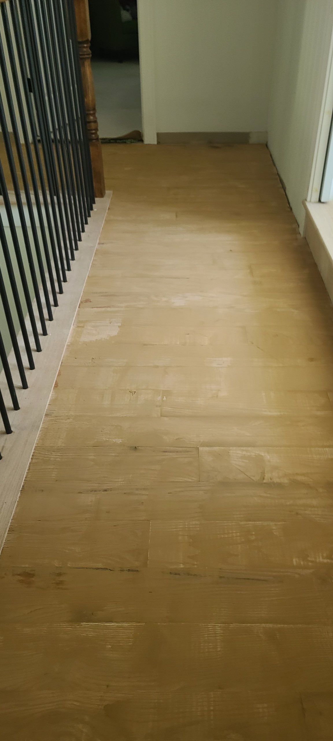 The Napolitano Family by SophAlx LLC