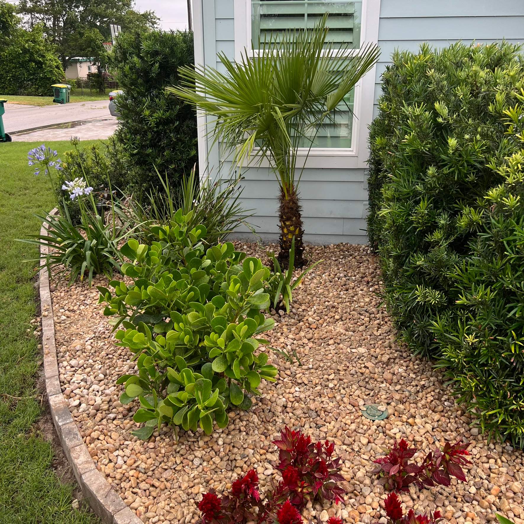 Rock & Agave Installation | Residential by ProGreen Services