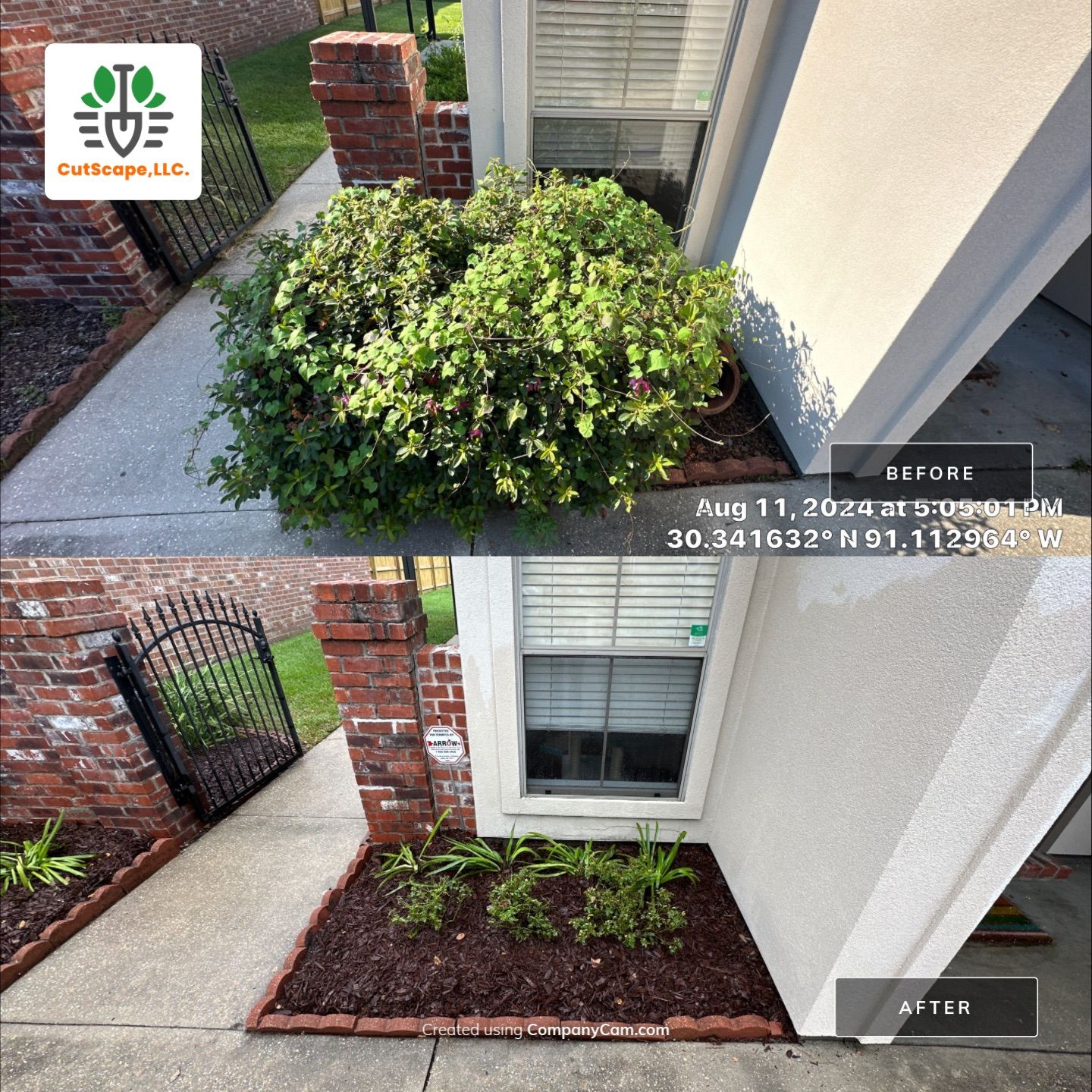LANDSCAPE SERVICES: DEMO /PREP/ INSTALL / TRIM / MULCH INSTALL by CutScape, LLC.