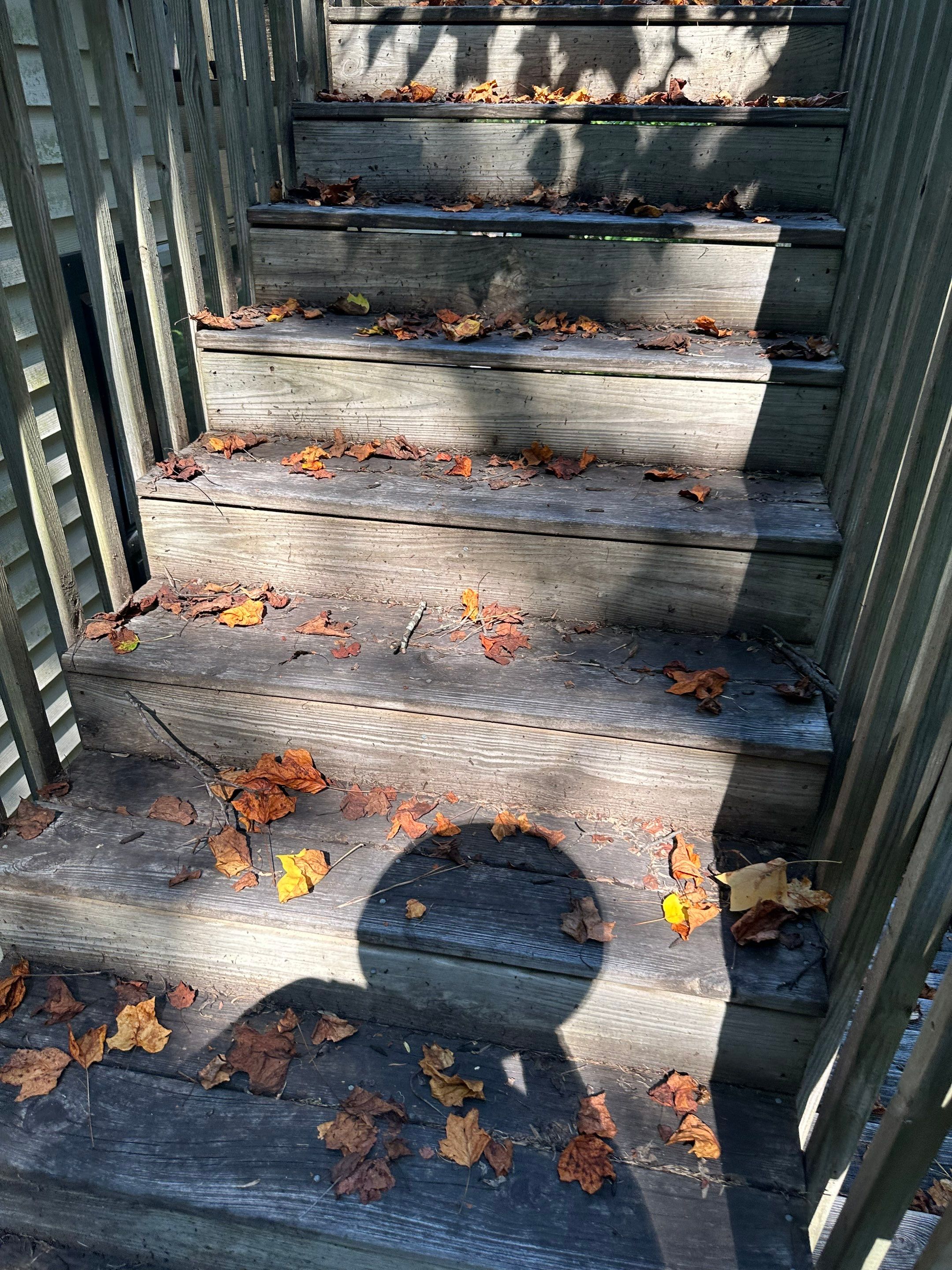 Pool Deck using Wood Sealant by DuraSeal