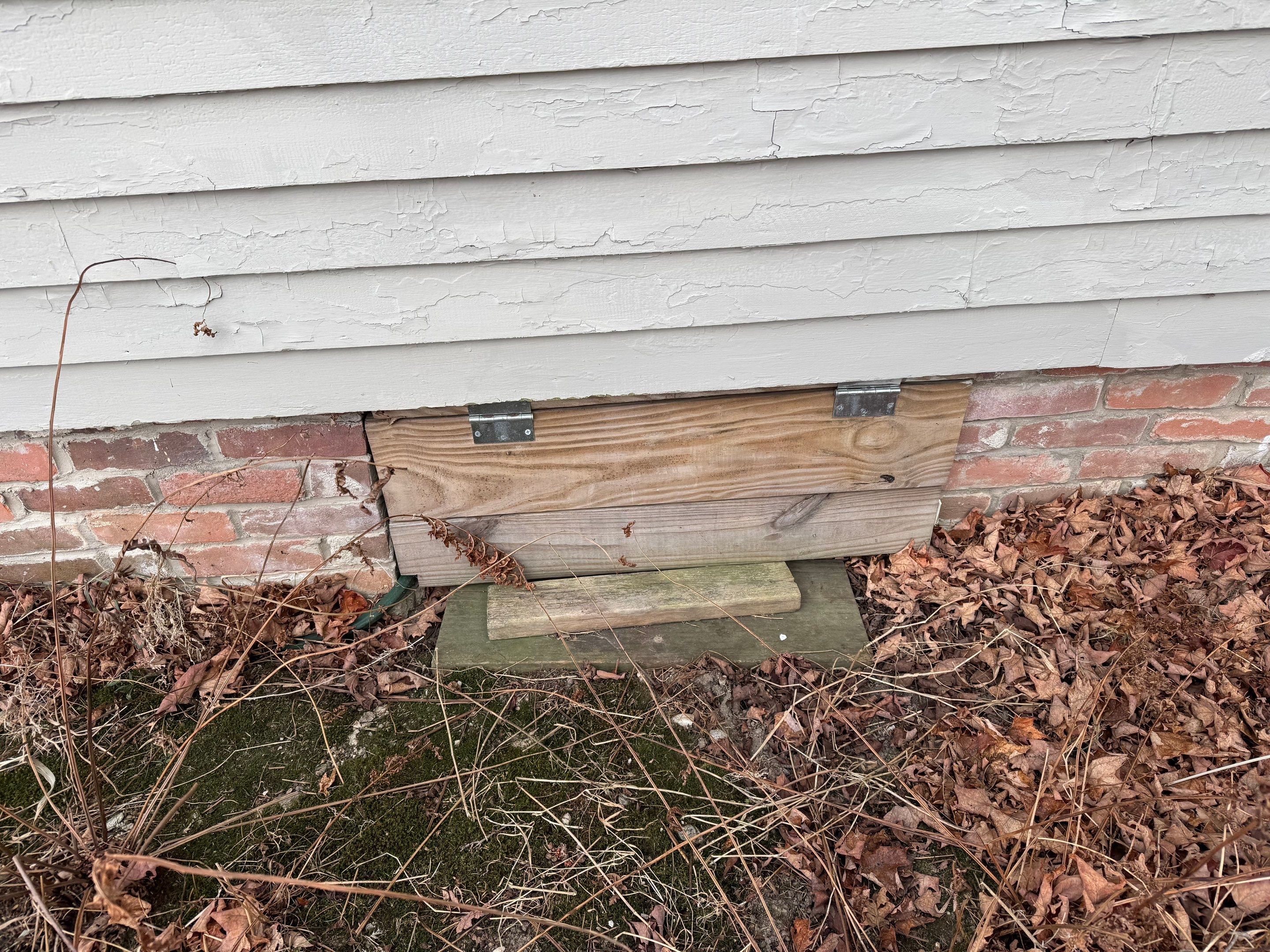 Mold Remediation (Basement) using Home Guarantee by Home Guarantee, LLC