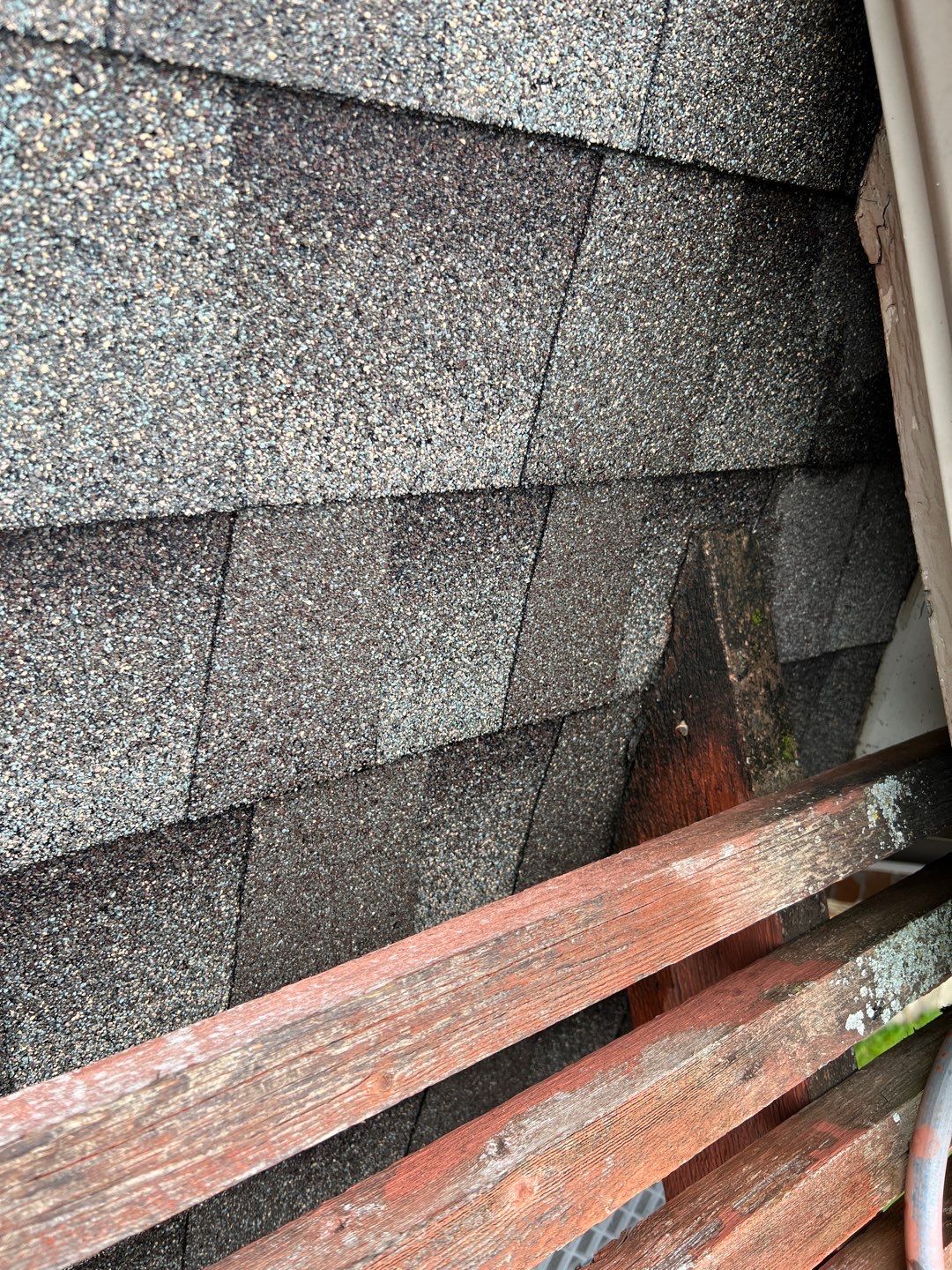 Hercules Patio Poly Cover by Tex-Line Roofing