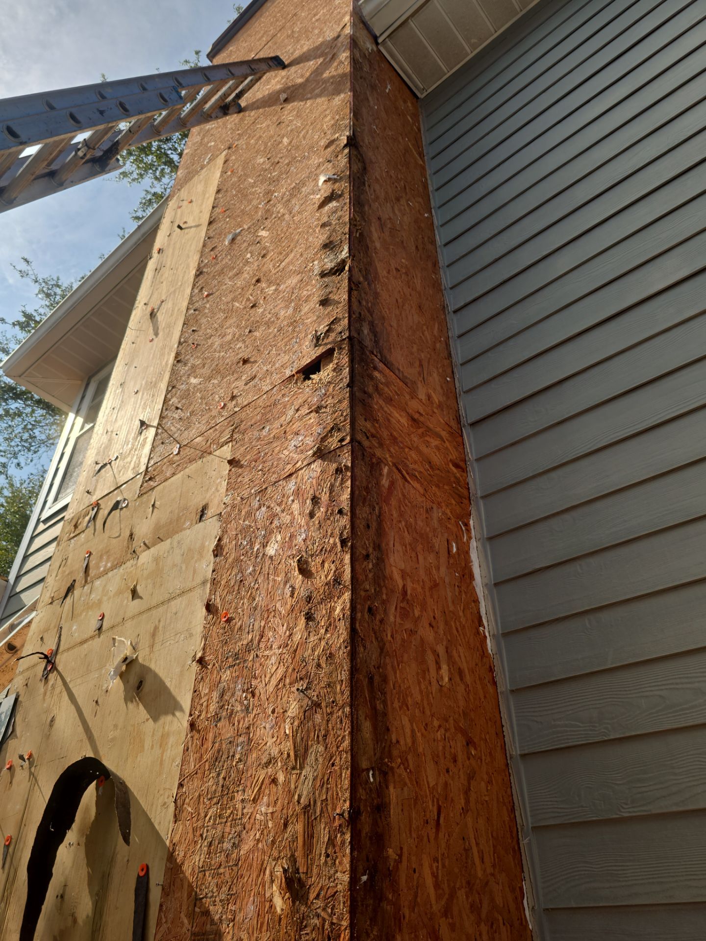 Roof Replacement in Tampa, FL by Shingle Masters Roofing