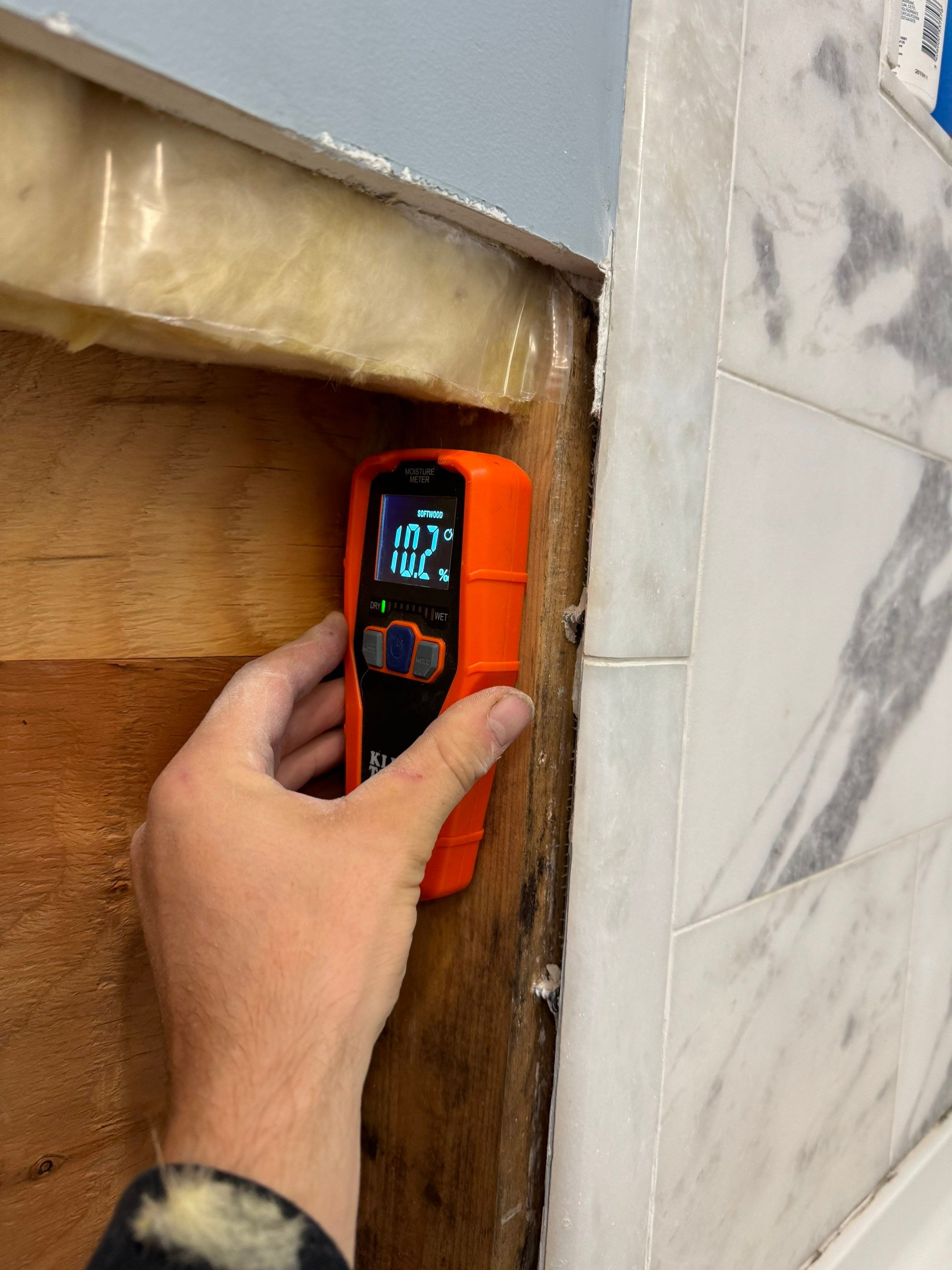 Bathroom Mold Remediation by Home Guarantee, LLC
