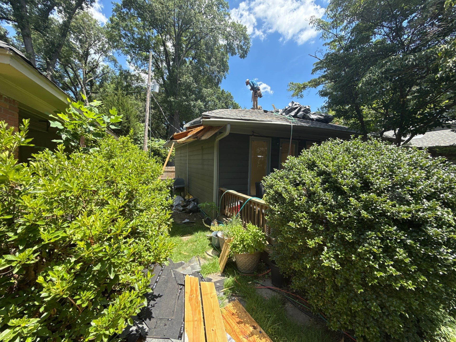 Tree Damage Restoration and Asphalt Shingle Roof Replacement in Memphis by Revival Roofing Services