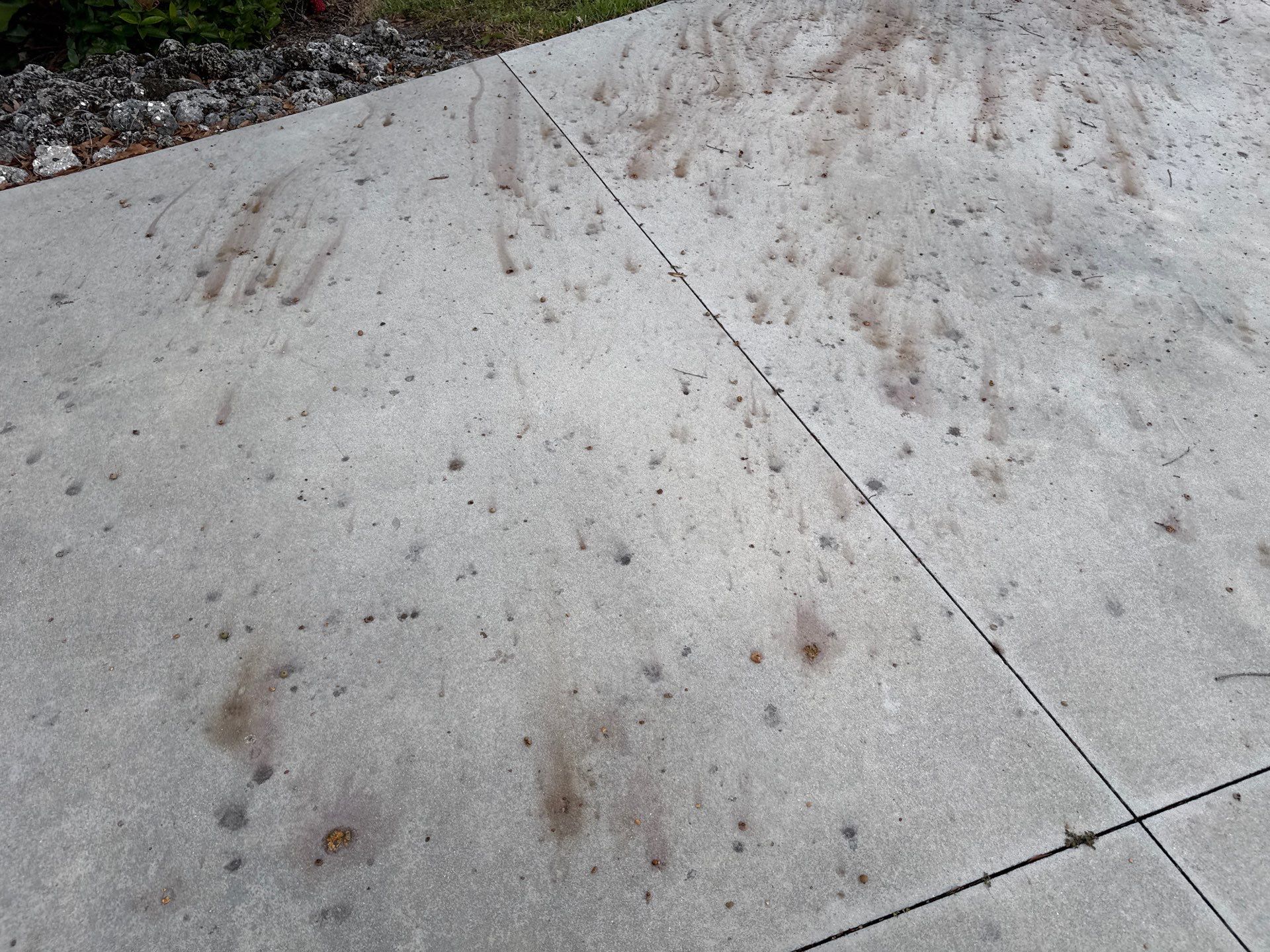 🏡 Large Concrete Driveway & Sidewalk Cleaning – Winding River Community, Bradenton, FL by Sunshine AquaWash