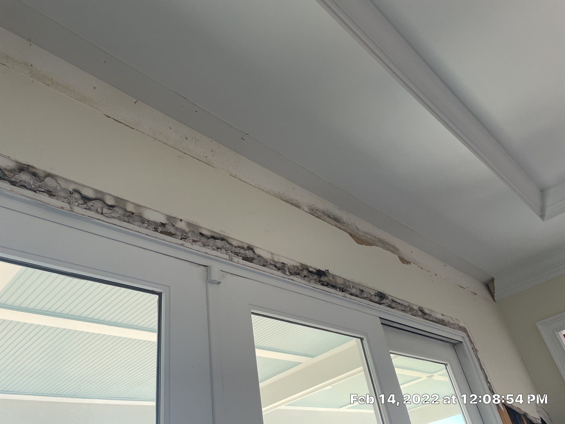 Luxury Home - Owners find termites and need interior selective demo, prior to repairs. by EAS Environmental, LLC.