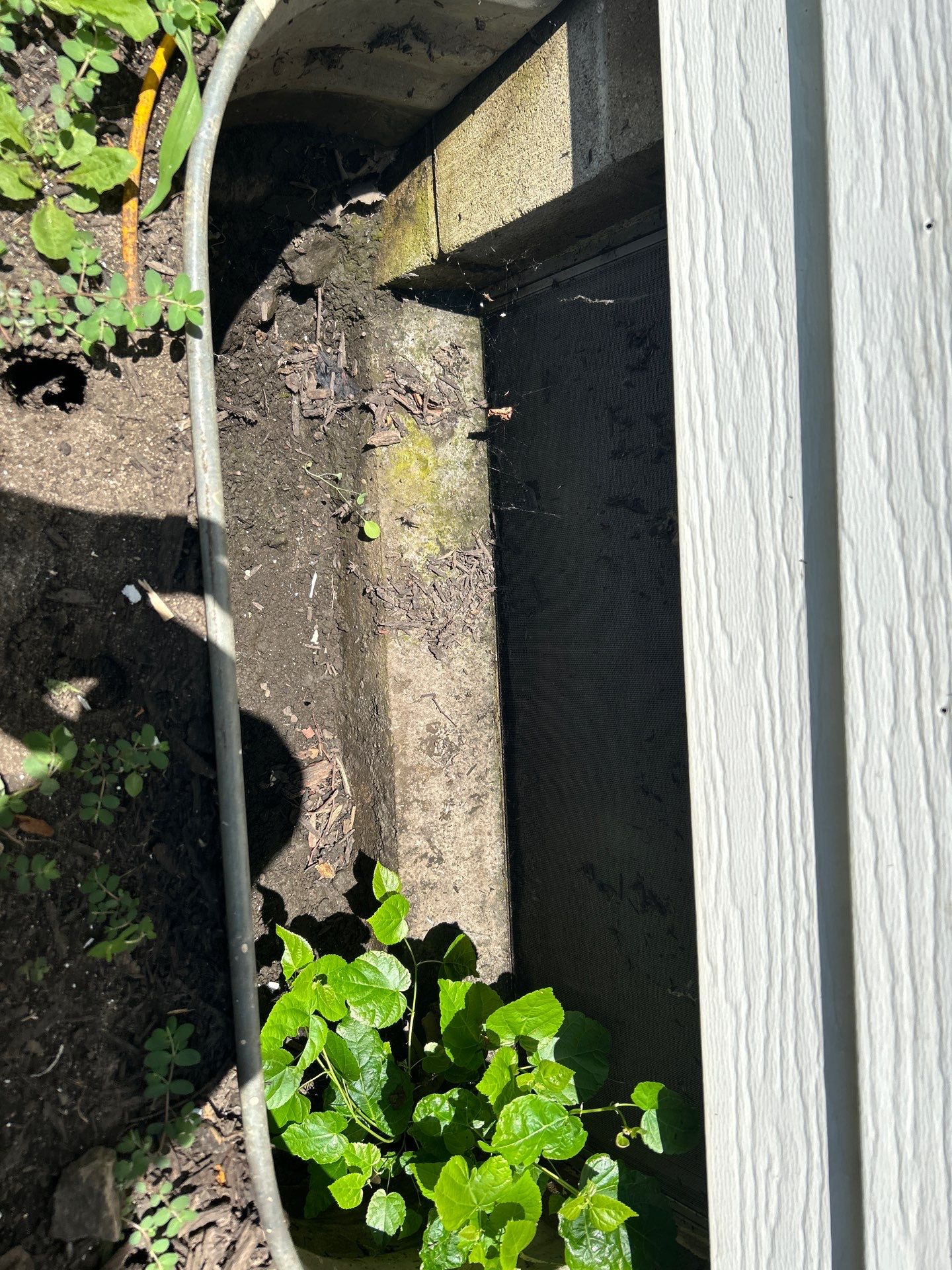 Pella 250 Series Window Replacement by United Windows and Siding LLC